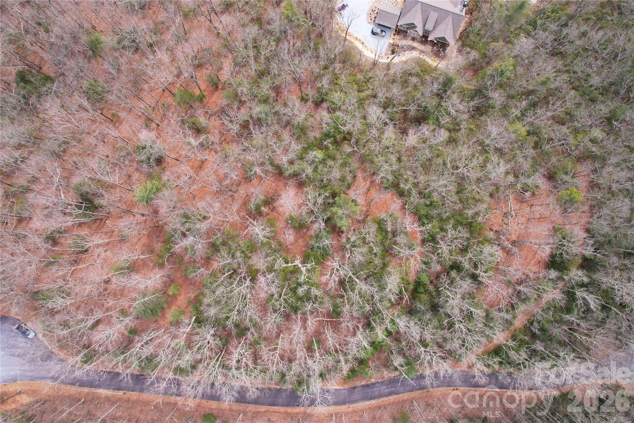 Tbd Laurel Thicket Lane Property Photo 3
