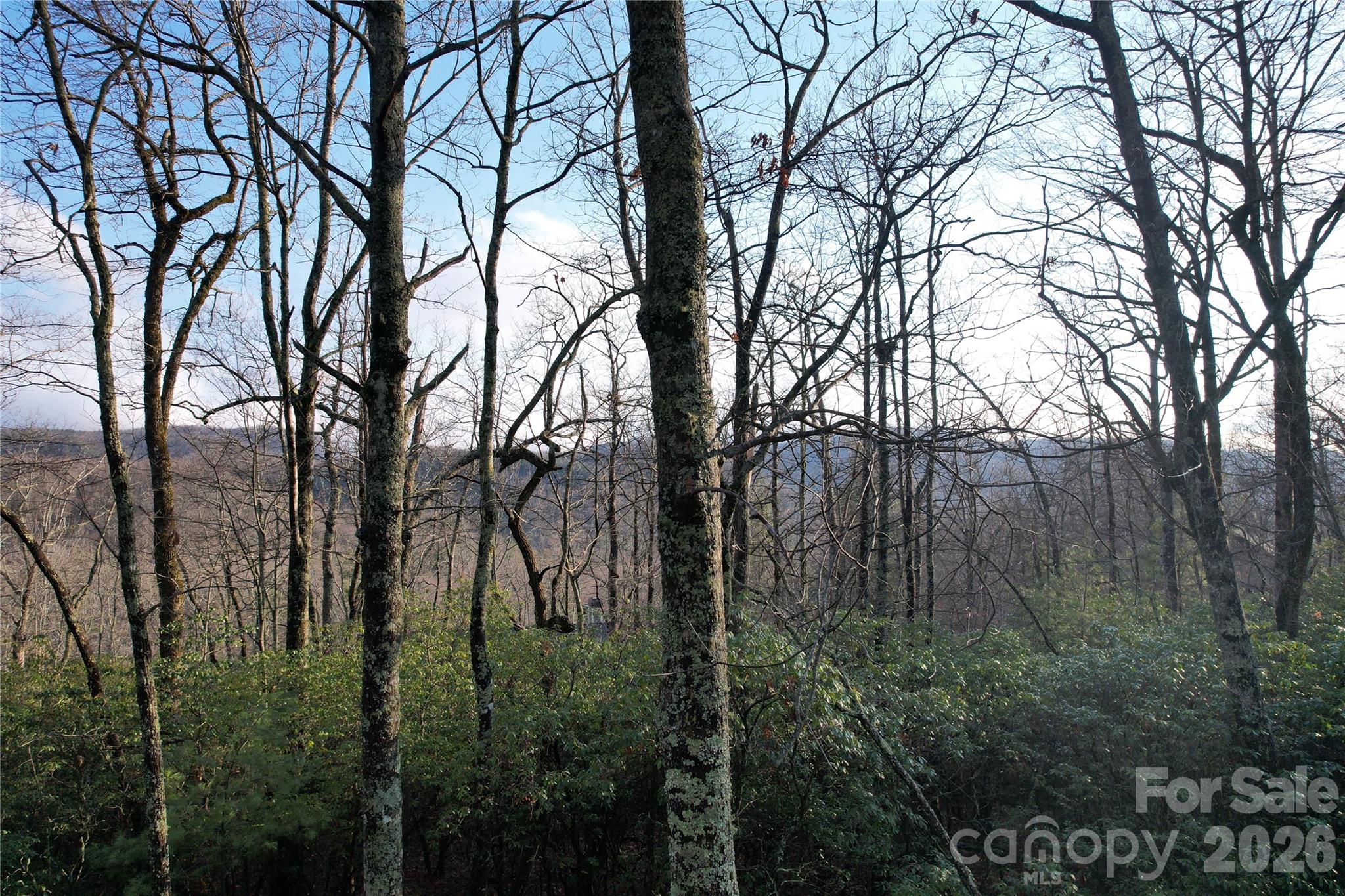 Tbd Laurel Thicket Lane Property Photo 4