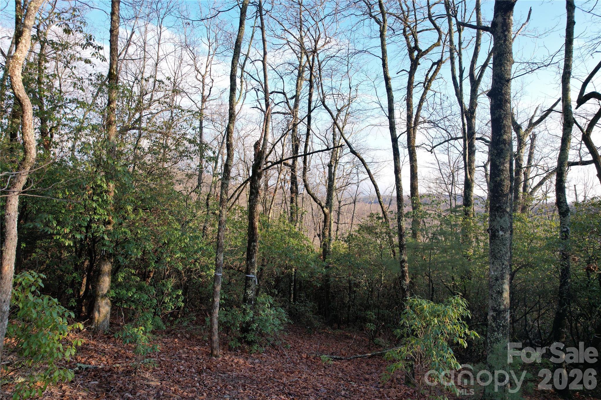 Tbd Laurel Thicket Lane Property Photo 5