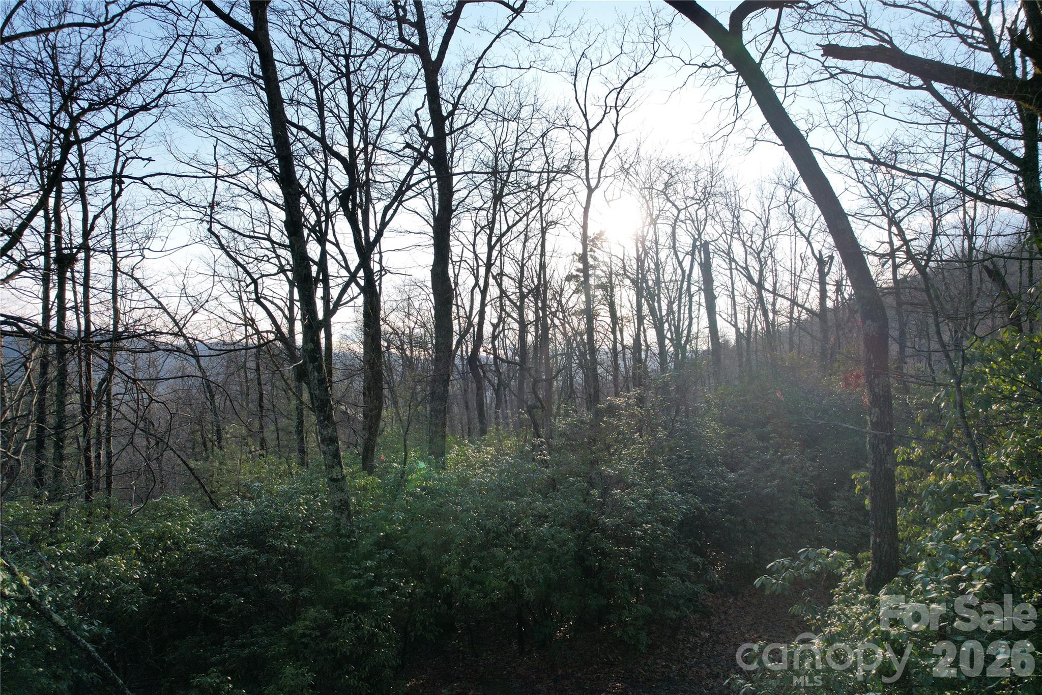 Tbd Laurel Thicket Lane Property Photo 6