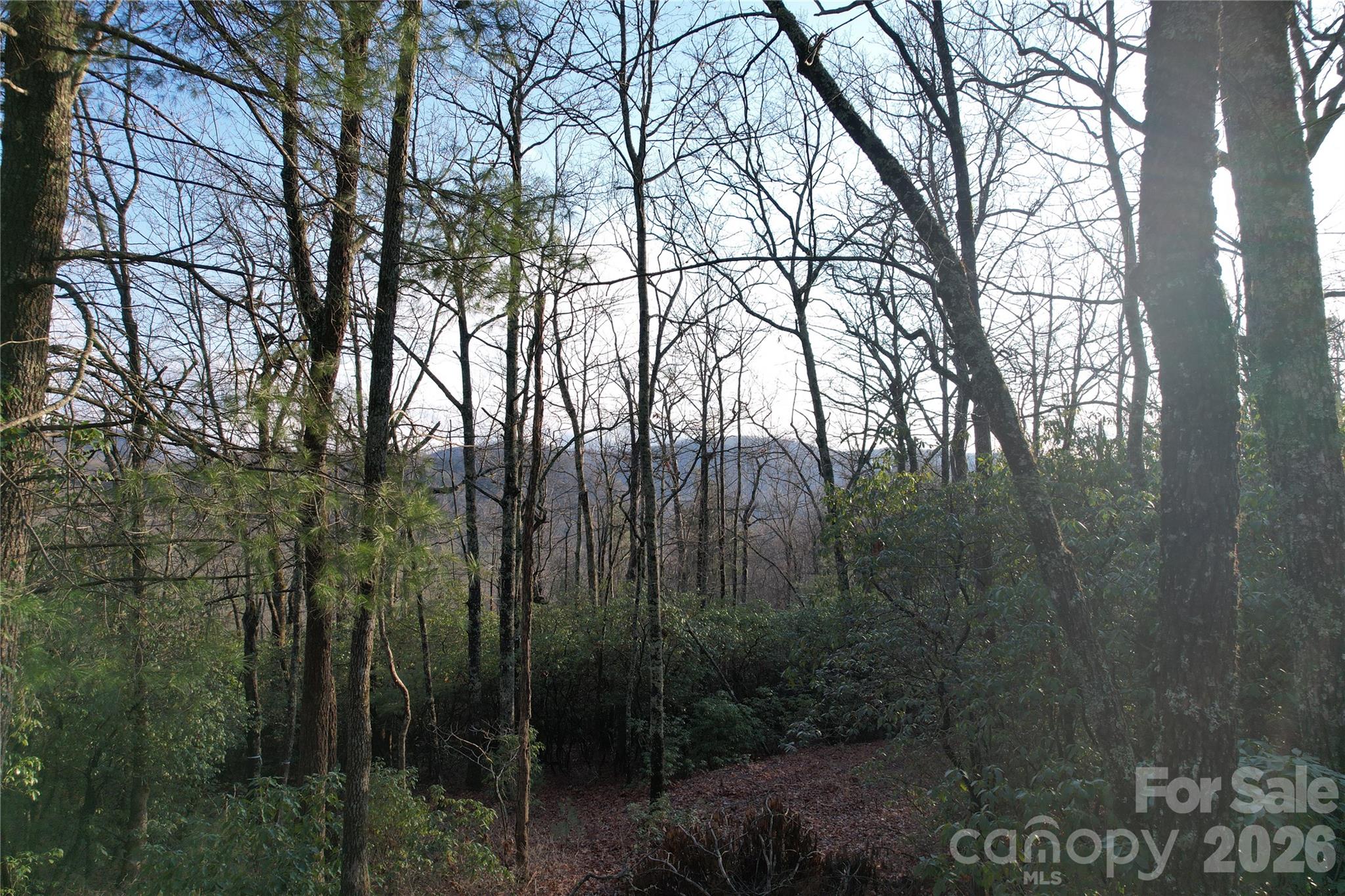 Tbd Laurel Thicket Lane Property Photo 7