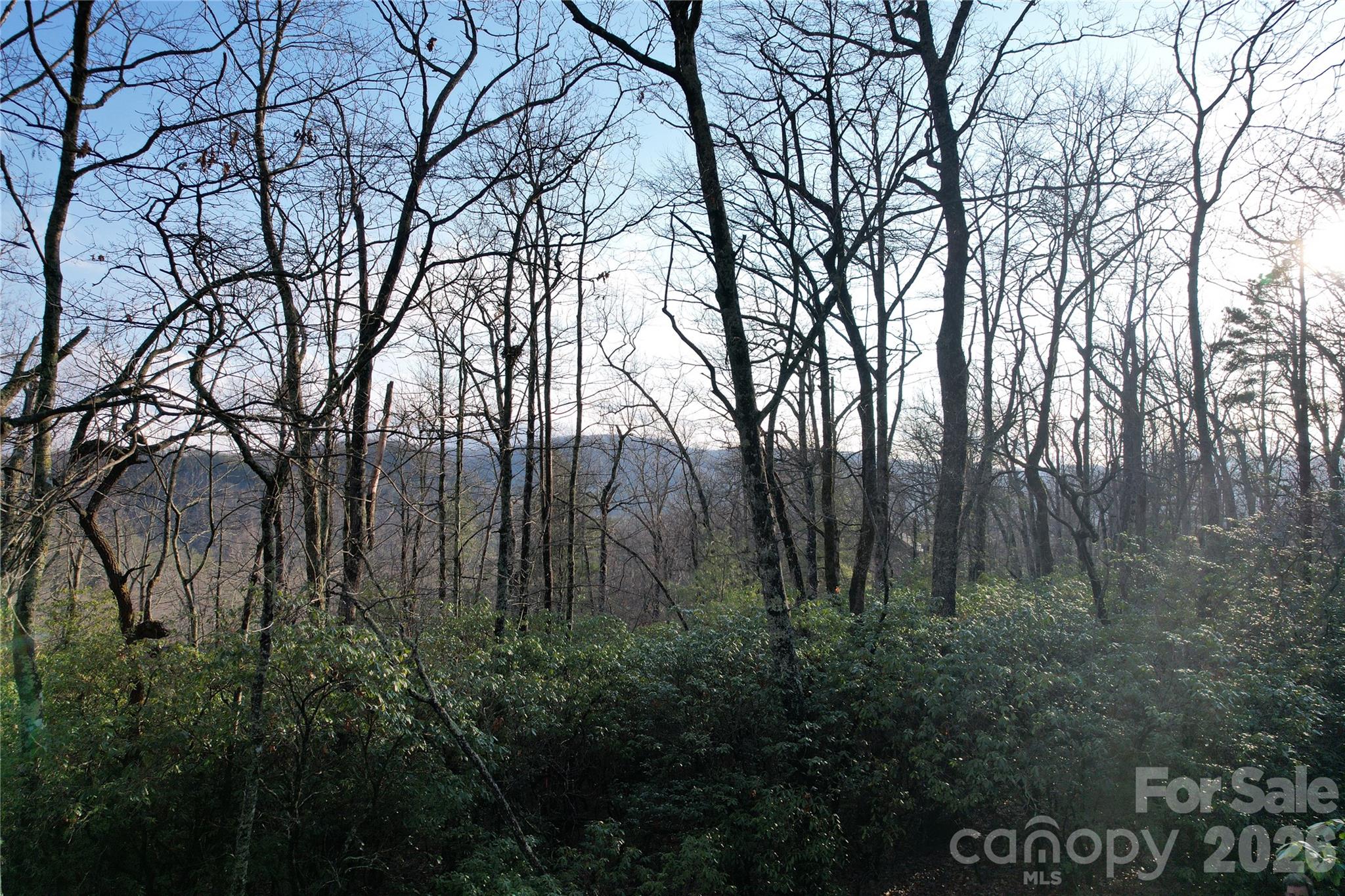 Tbd Laurel Thicket Lane Property Photo 8