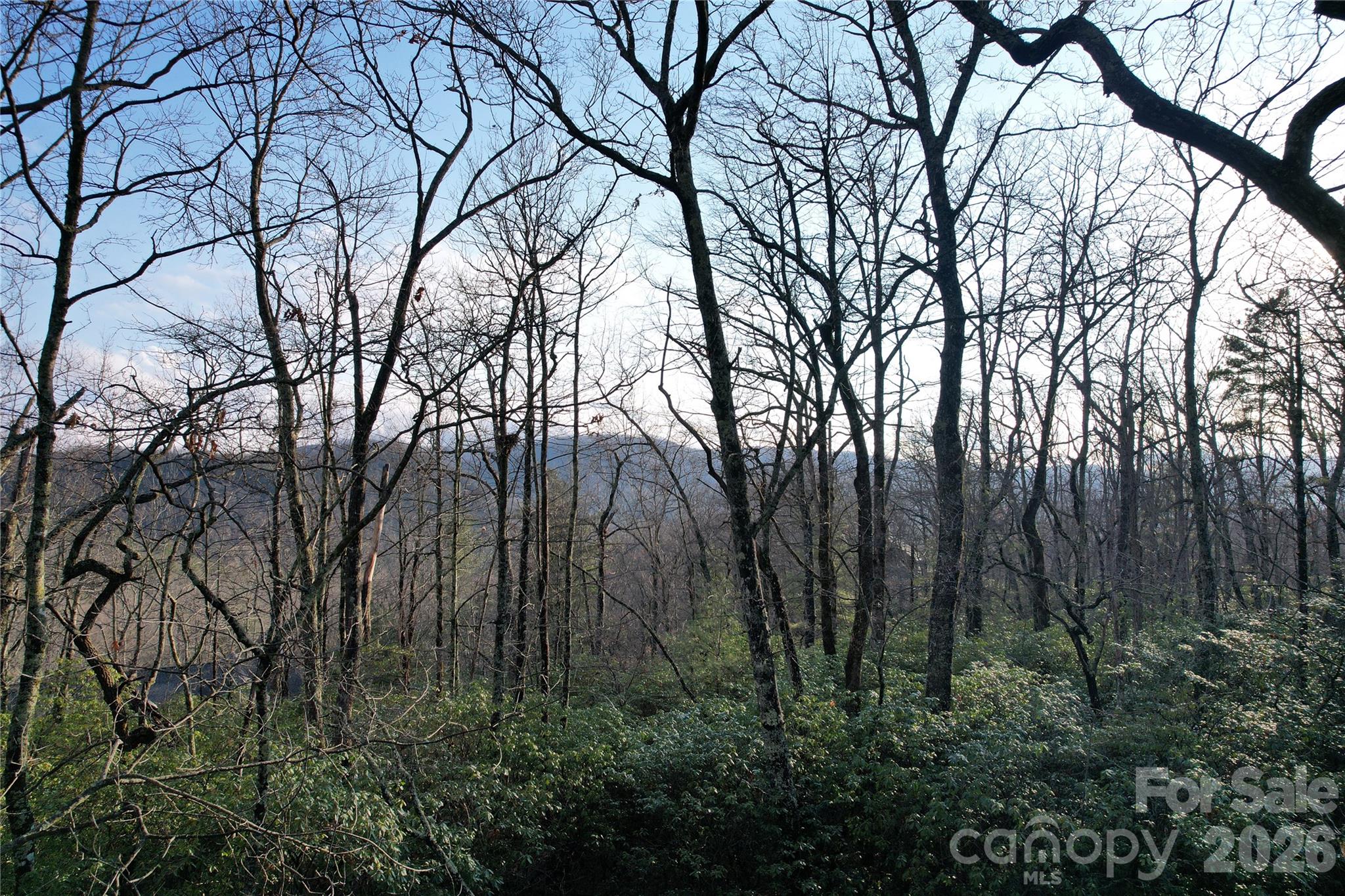 Tbd Laurel Thicket Lane Property Photo 9