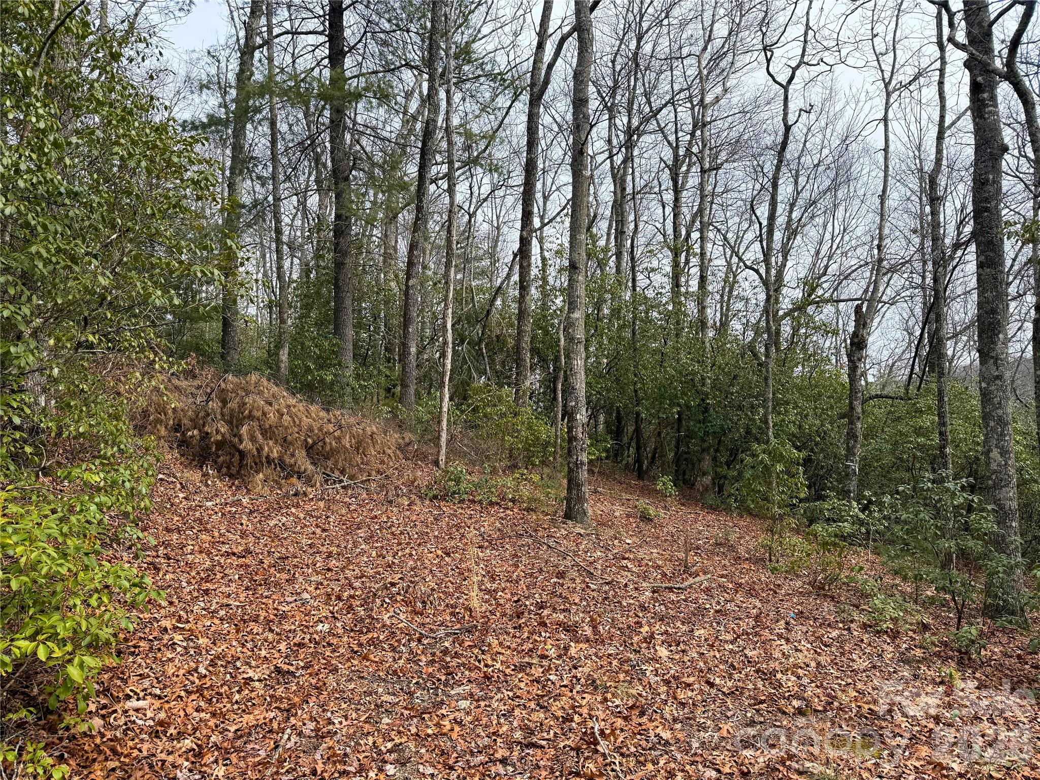 Tbd Laurel Thicket Lane Property Photo 10