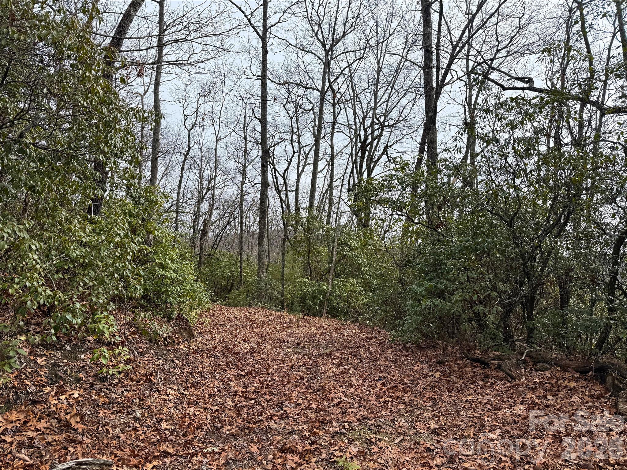 Tbd Laurel Thicket Lane Property Photo 11