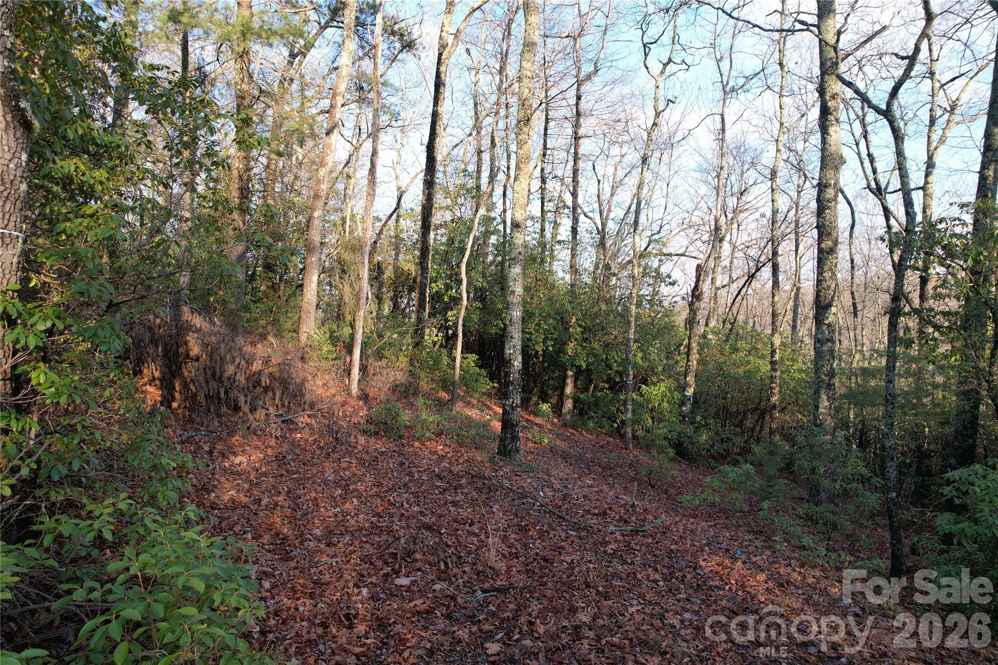 Tbd Laurel Thicket Lane Property Photo 12