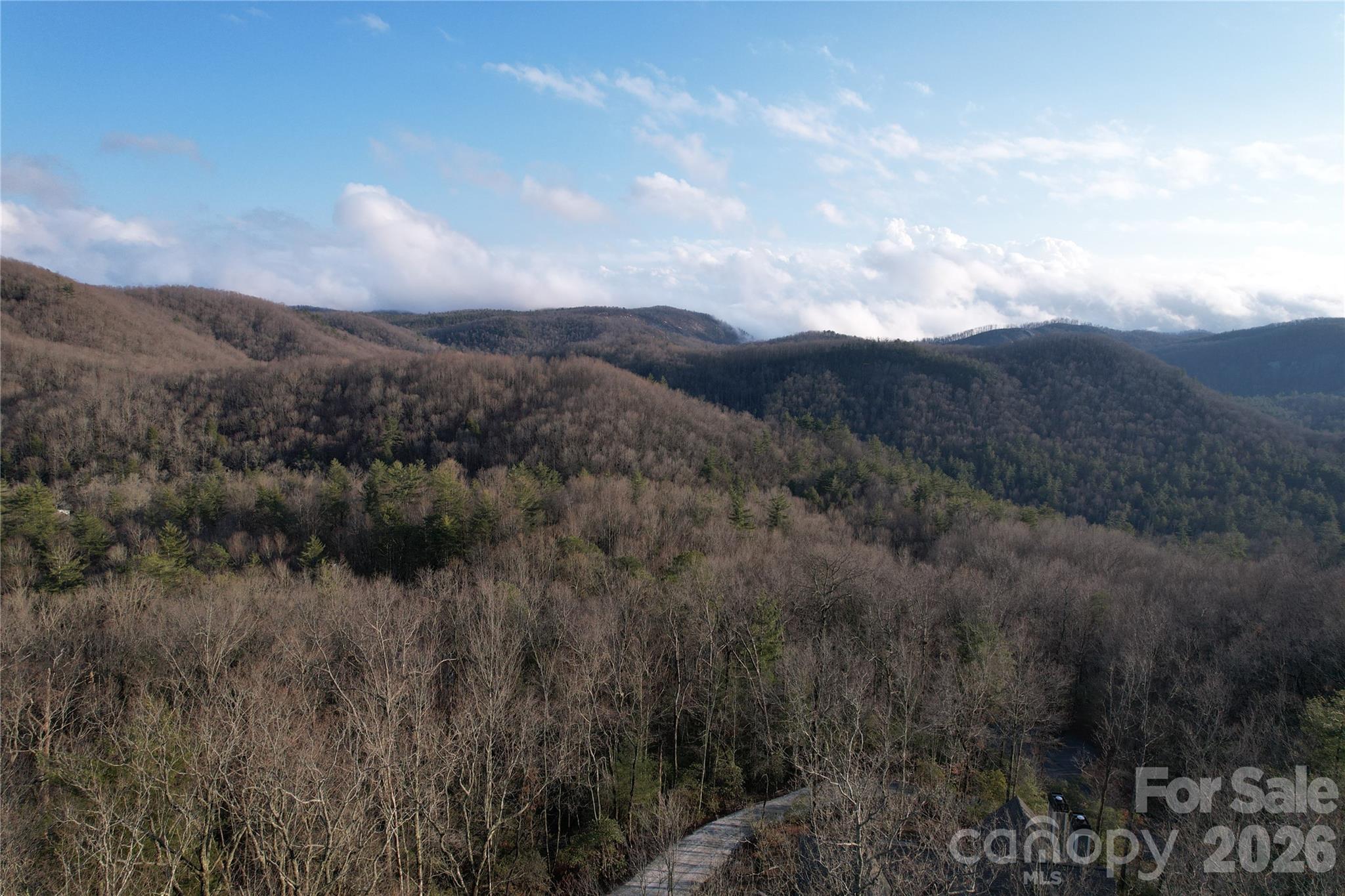 Tbd Laurel Thicket Lane Property Photo 14