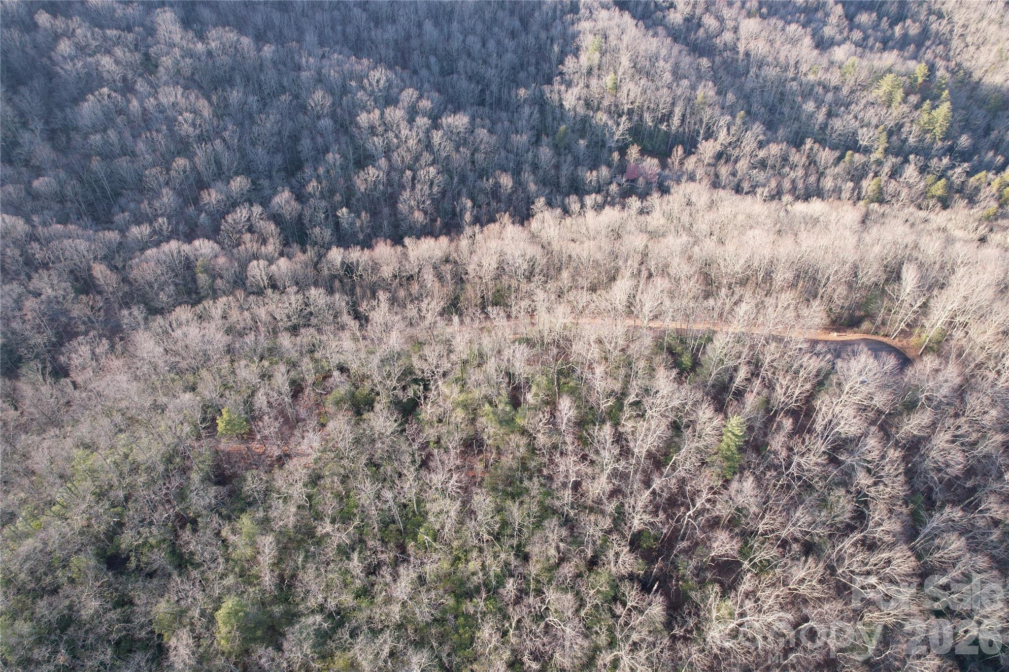 Tbd Laurel Thicket Lane Property Photo 15