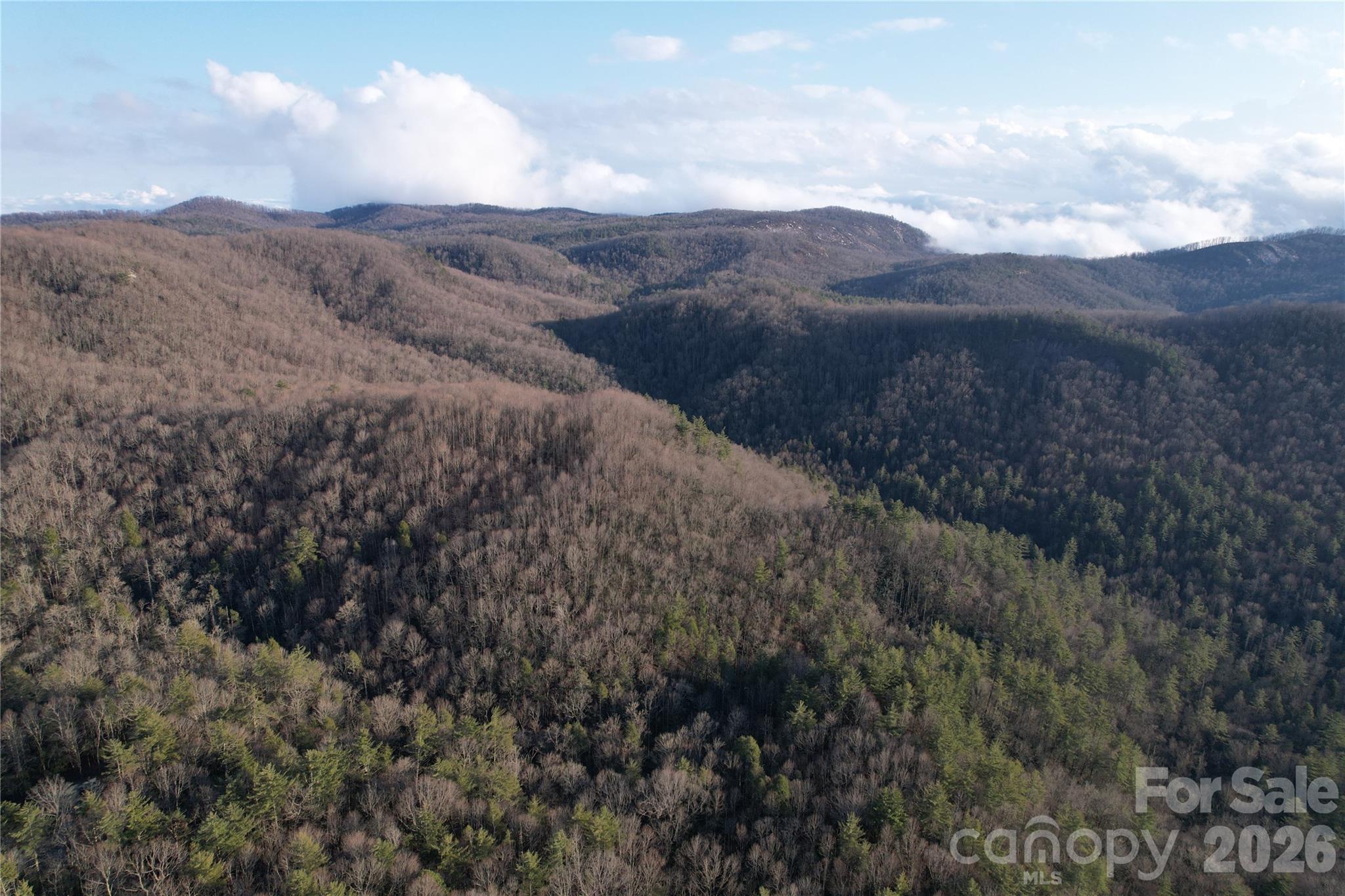 Tbd Laurel Thicket Lane Property Photo 16