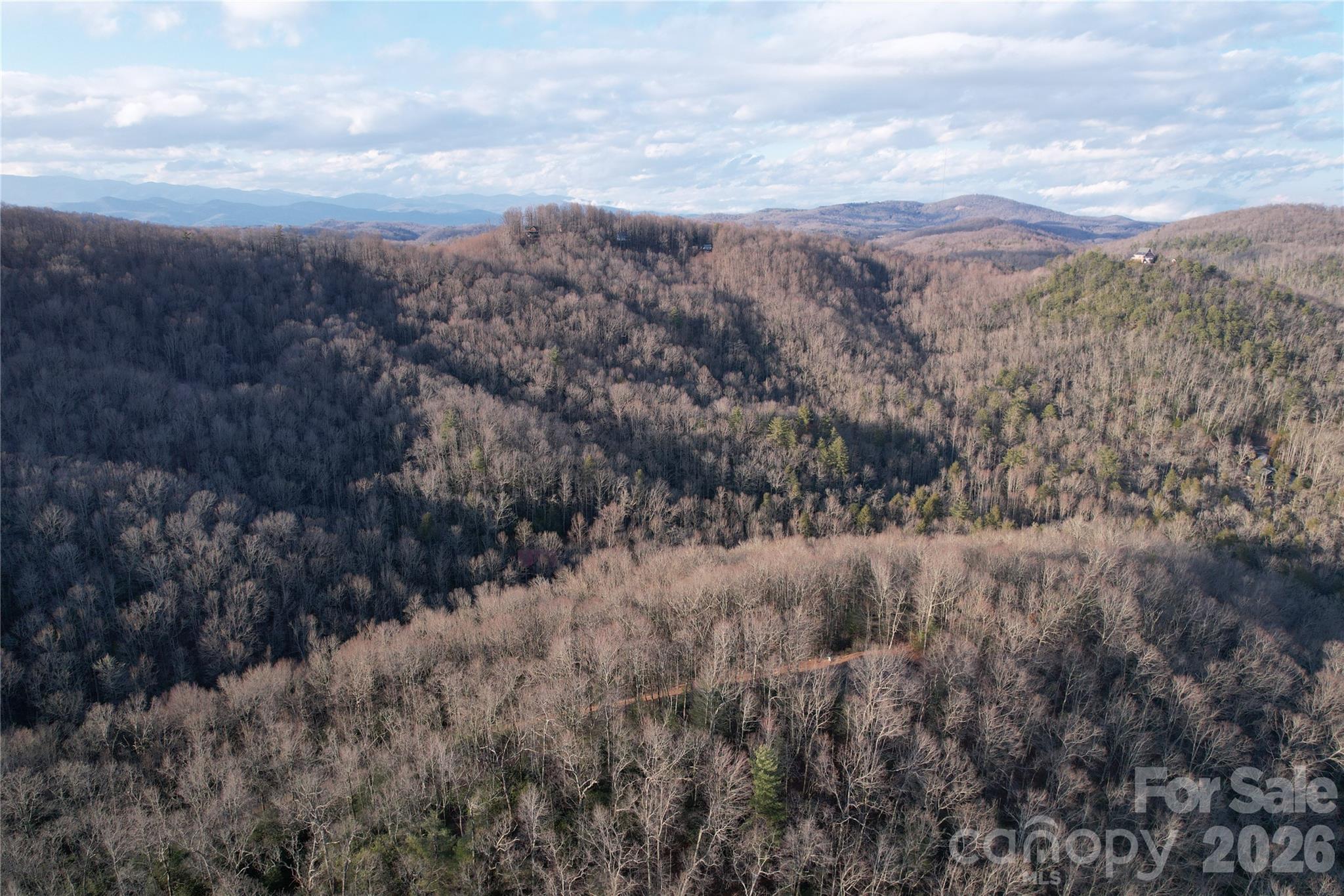Tbd Laurel Thicket Lane Property Photo 17