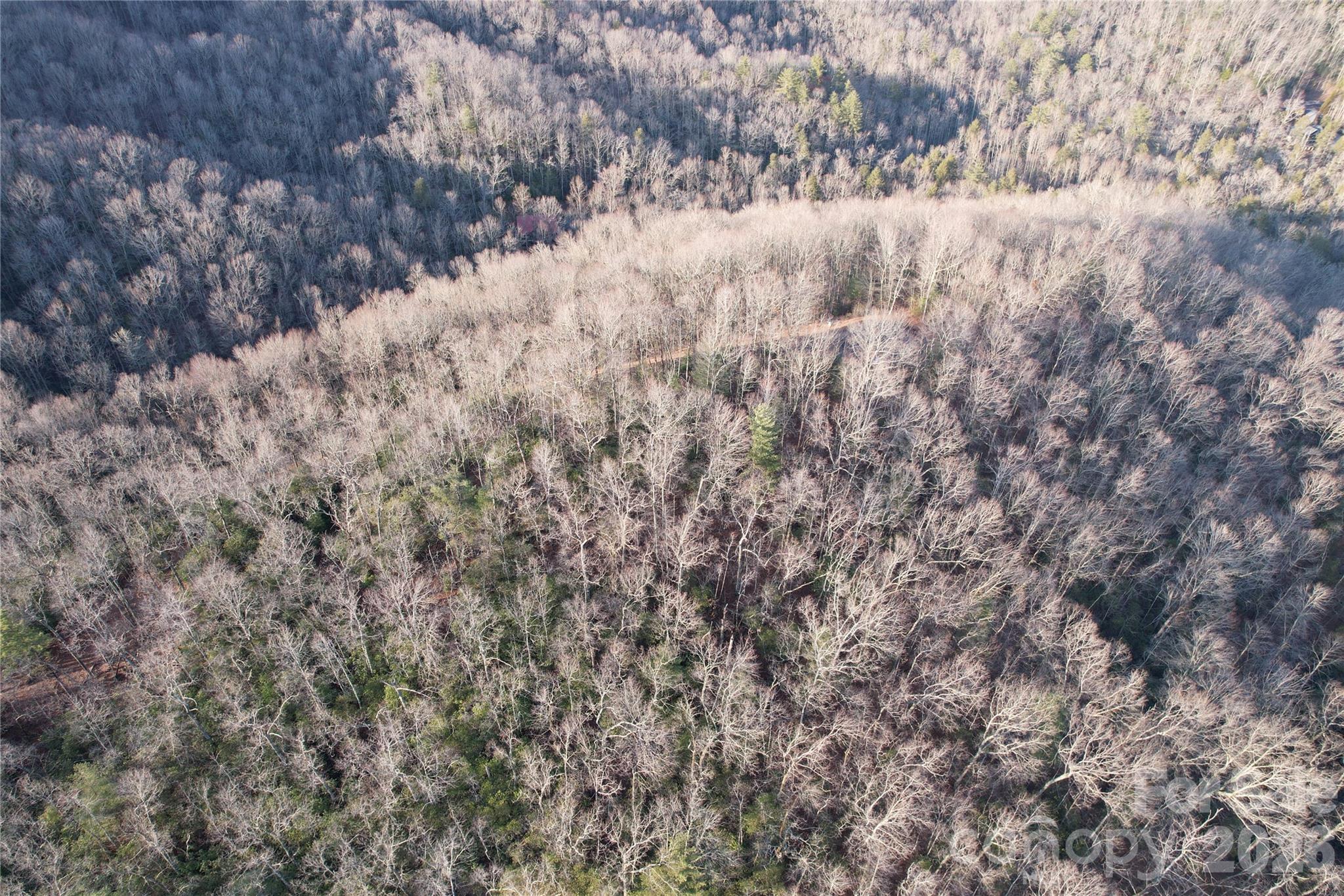Tbd Laurel Thicket Lane Property Photo 18