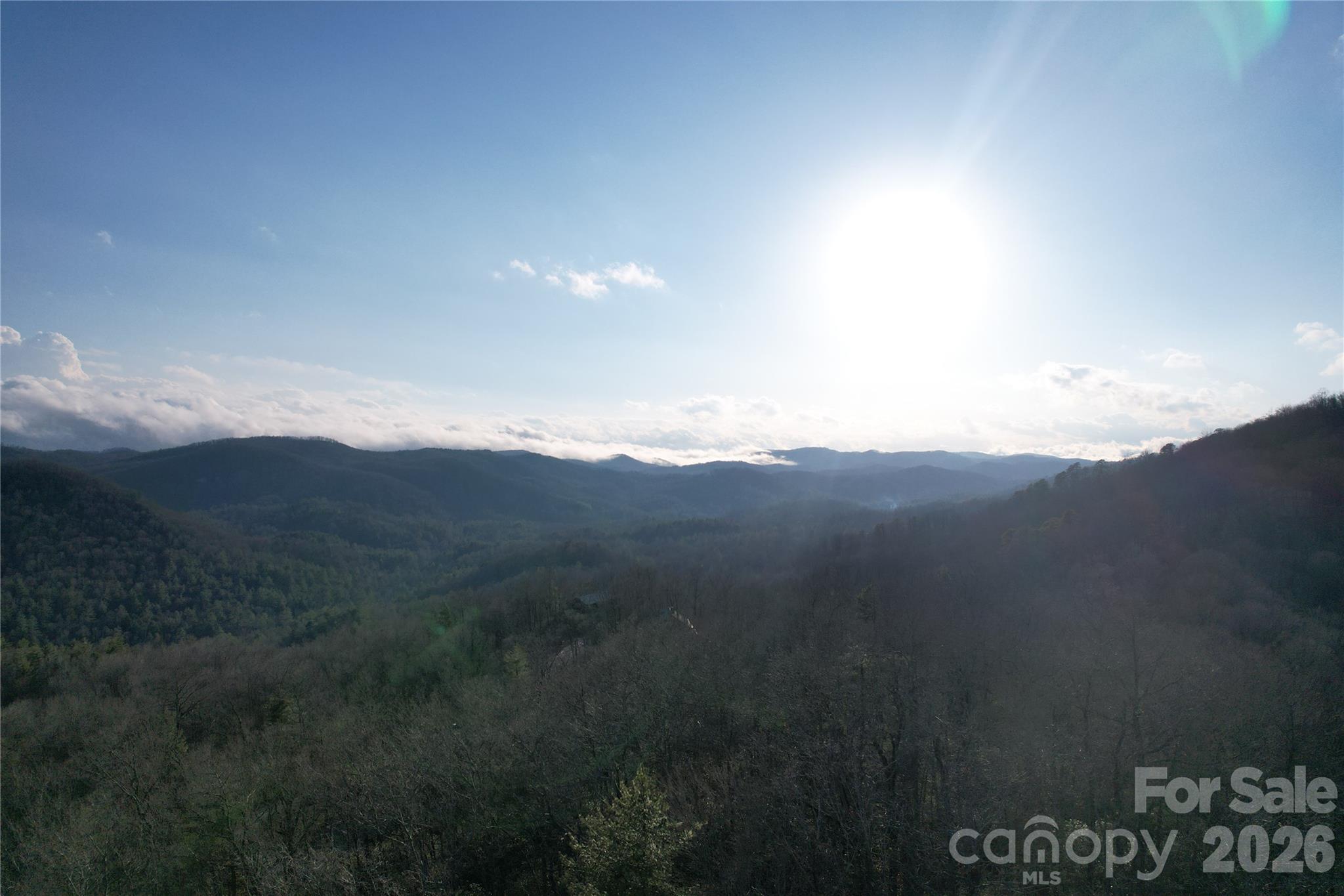 Tbd Laurel Thicket Lane Property Photo 19