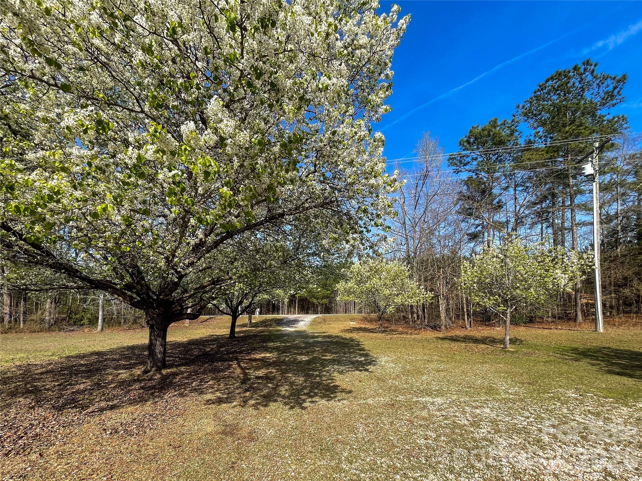 3271 Ebenezer Church Road Property Photo 12