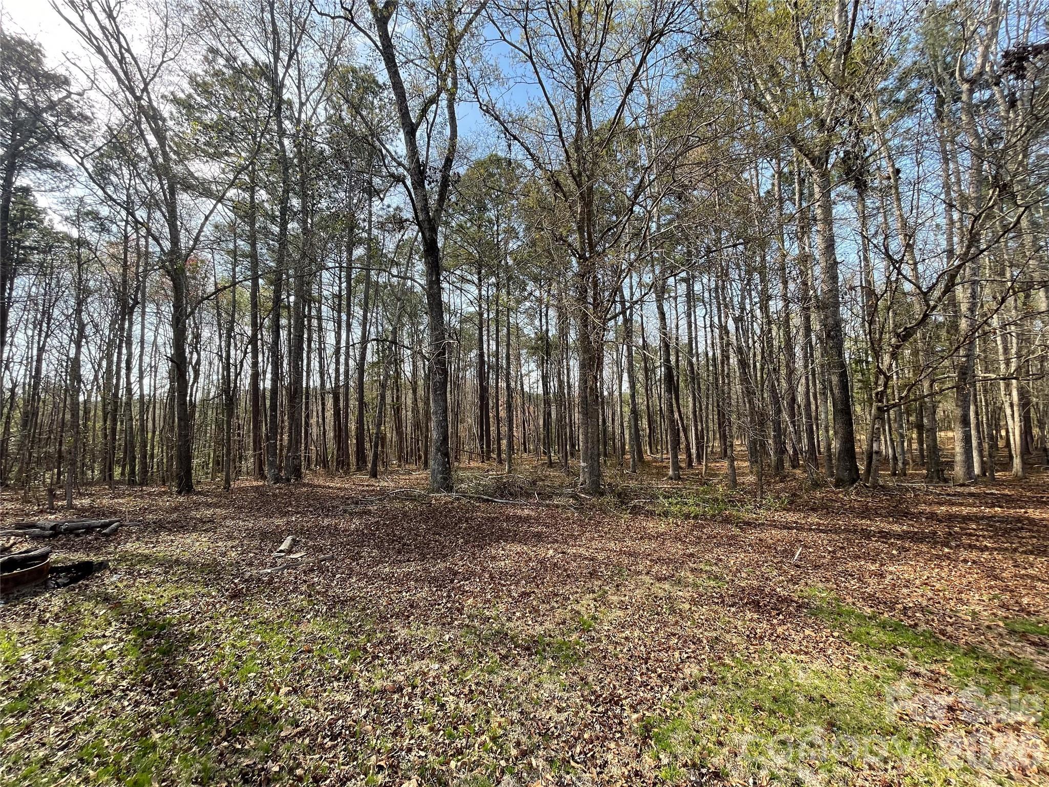 3271 Ebenezer Church Road Property Photo 14