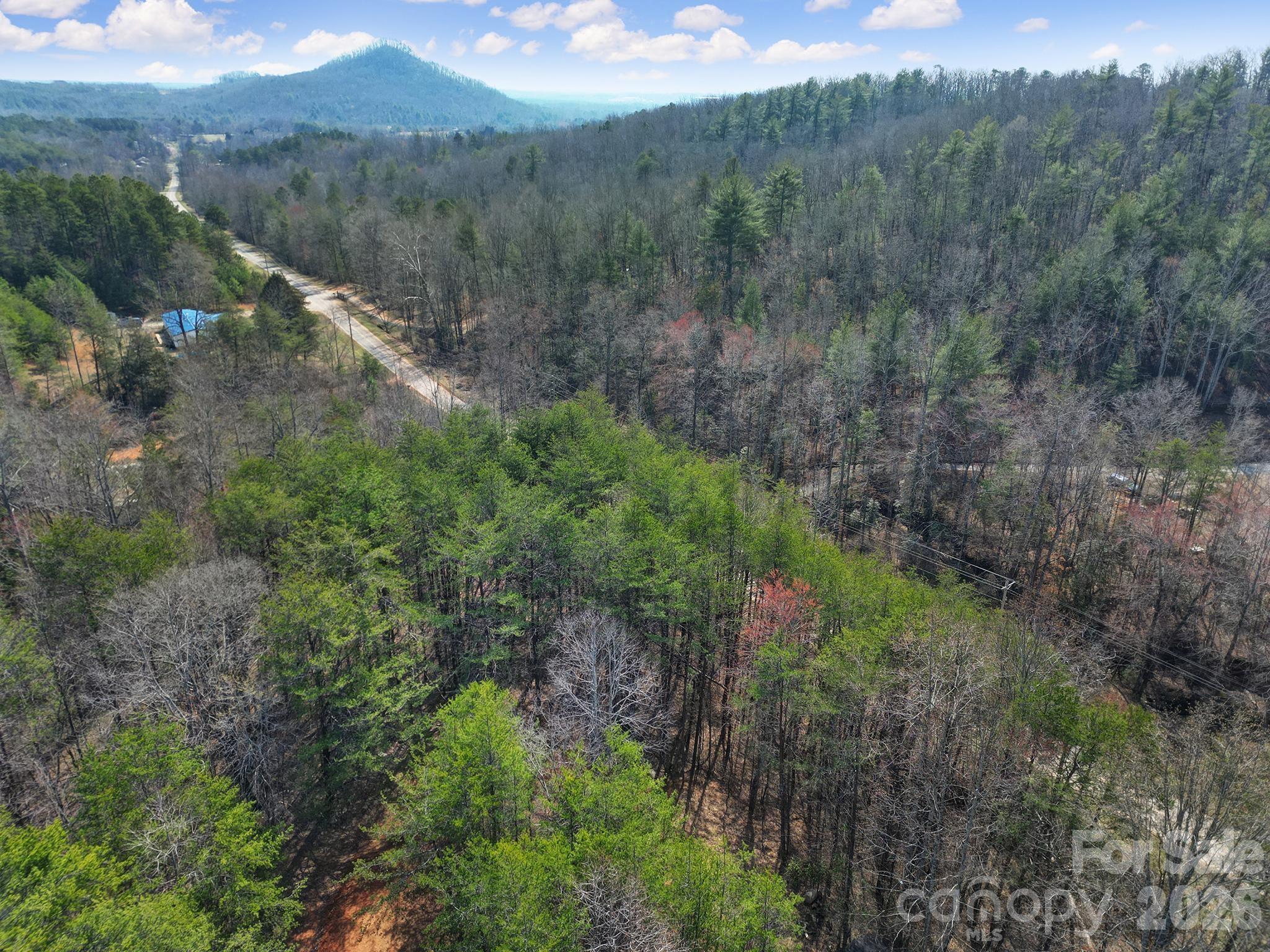 236 Dirty Ankle Road Property Photo 5