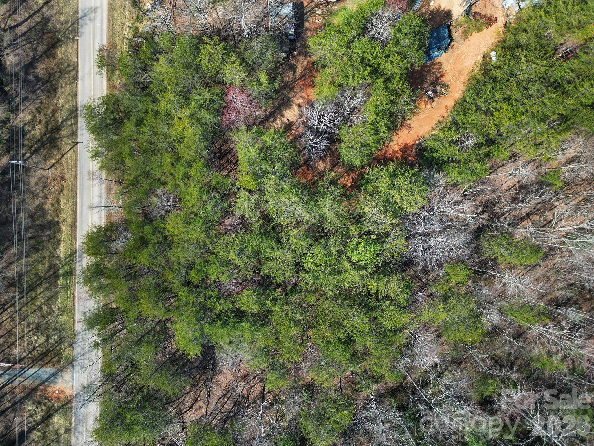 236 Dirty Ankle Road Property Photo 6