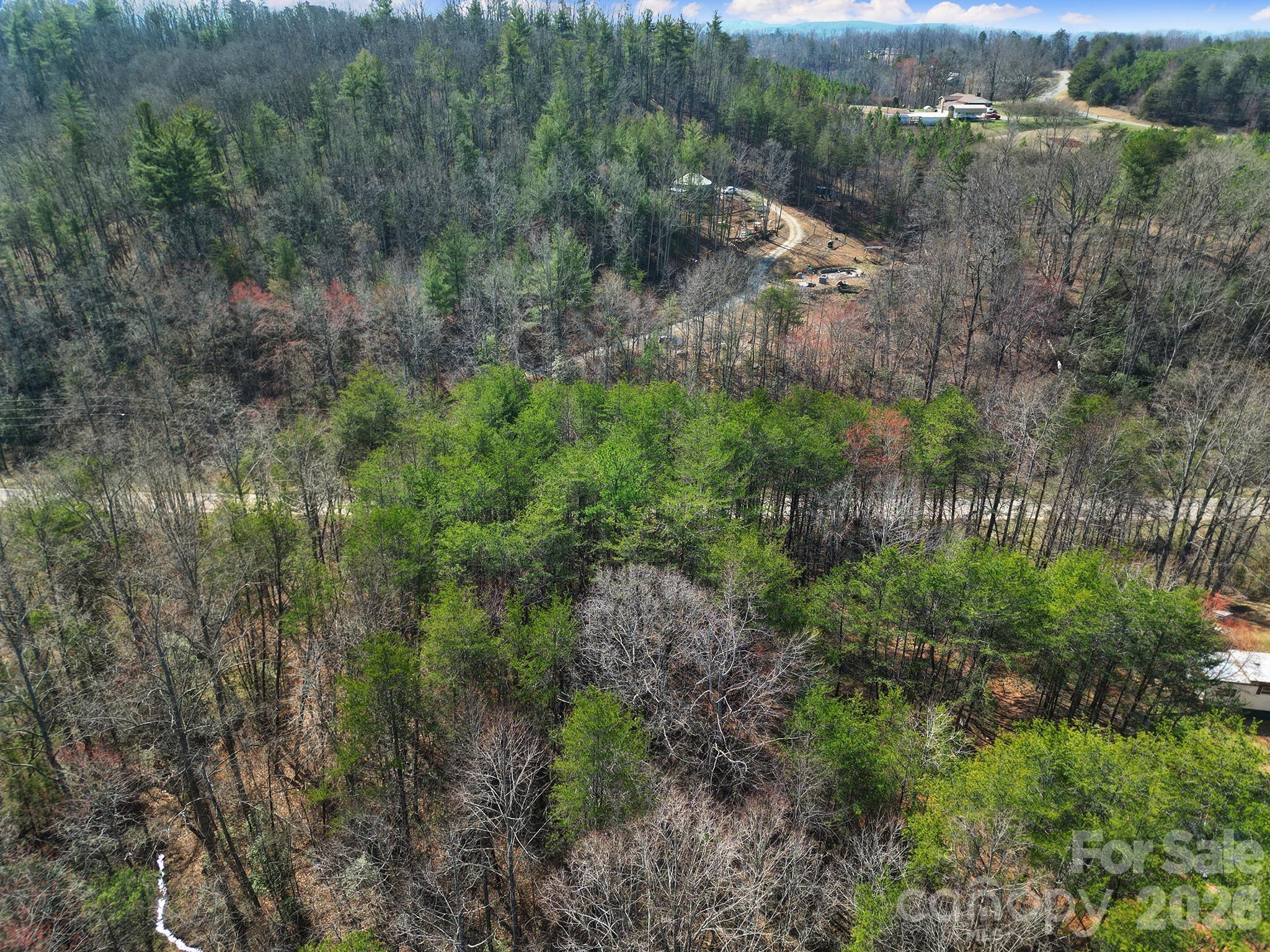 236 Dirty Ankle Road Property Photo 7