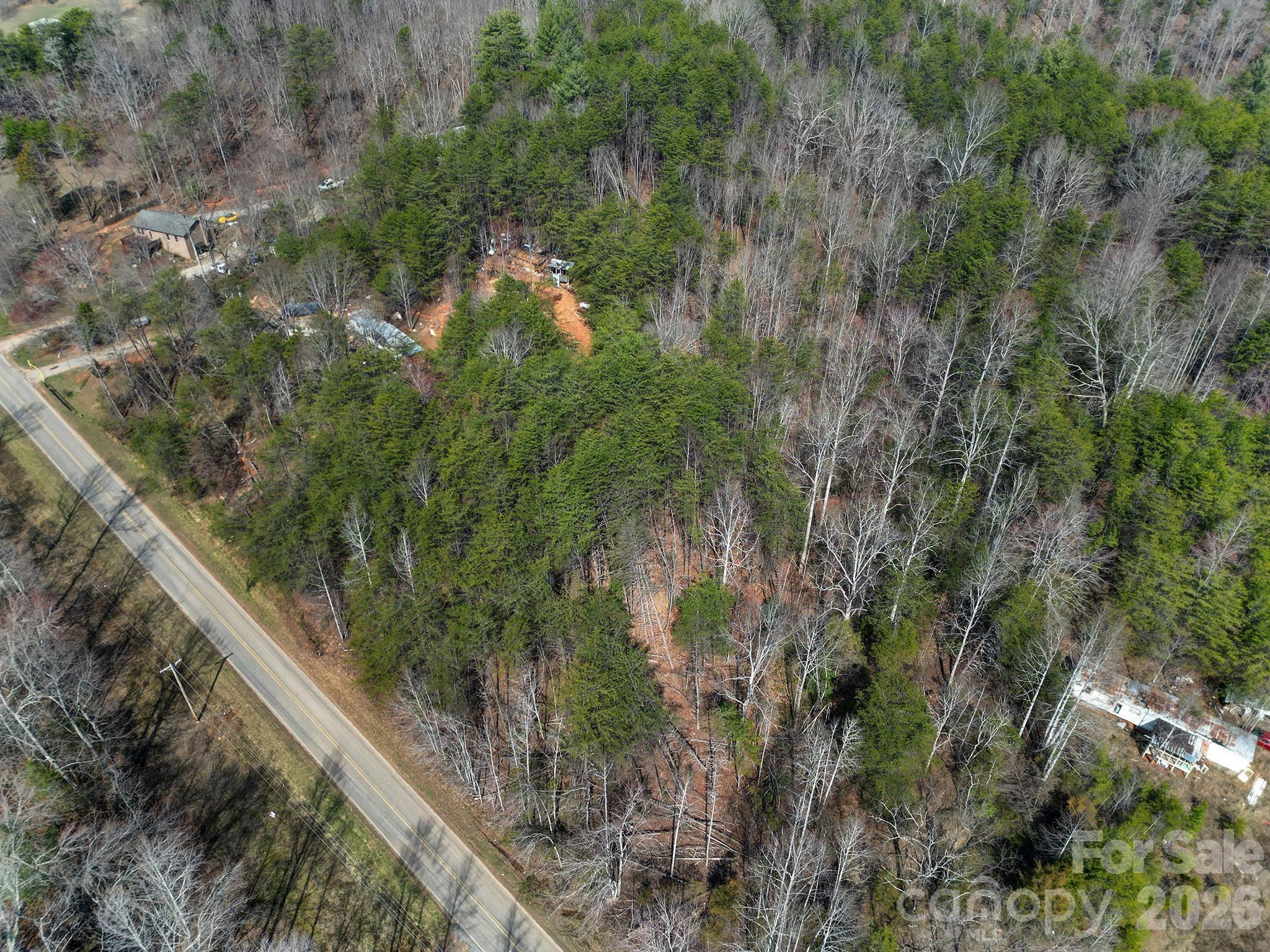 236 Dirty Ankle Road Property Photo 9