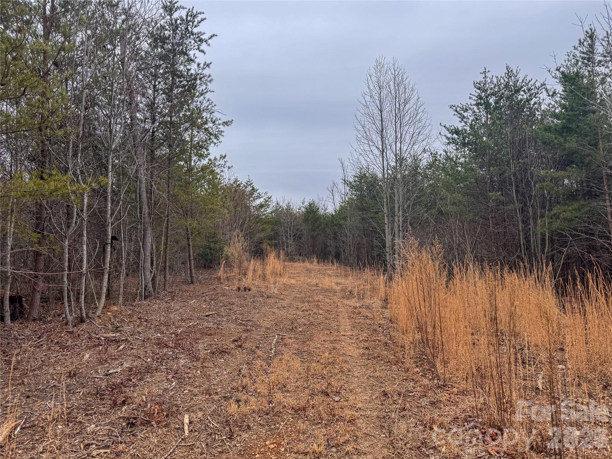 00 Baugess Mill Road Property Photo 13