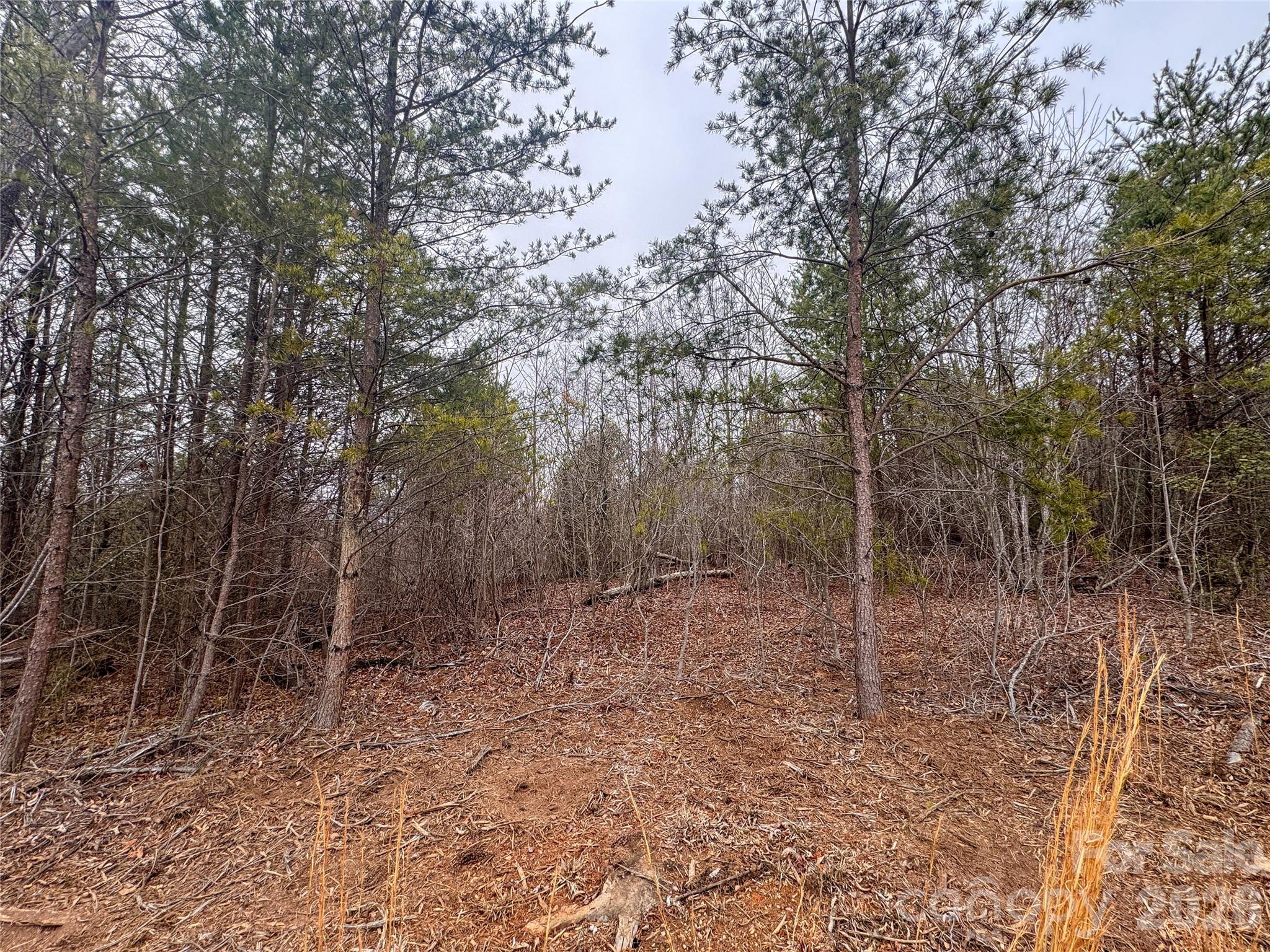 00 Baugess Mill Road Property Photo 14