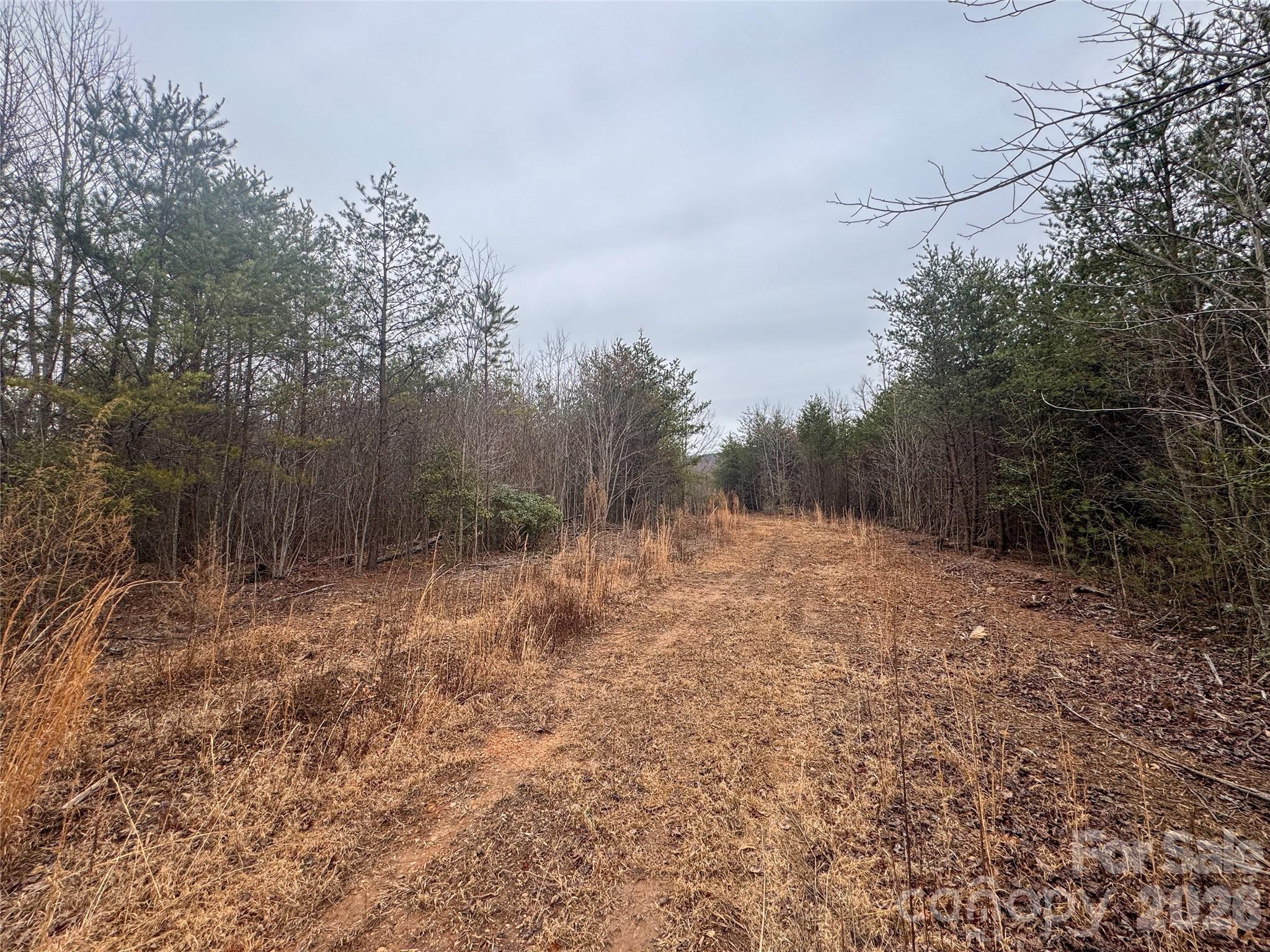 00 Baugess Mill Road Property Photo 15