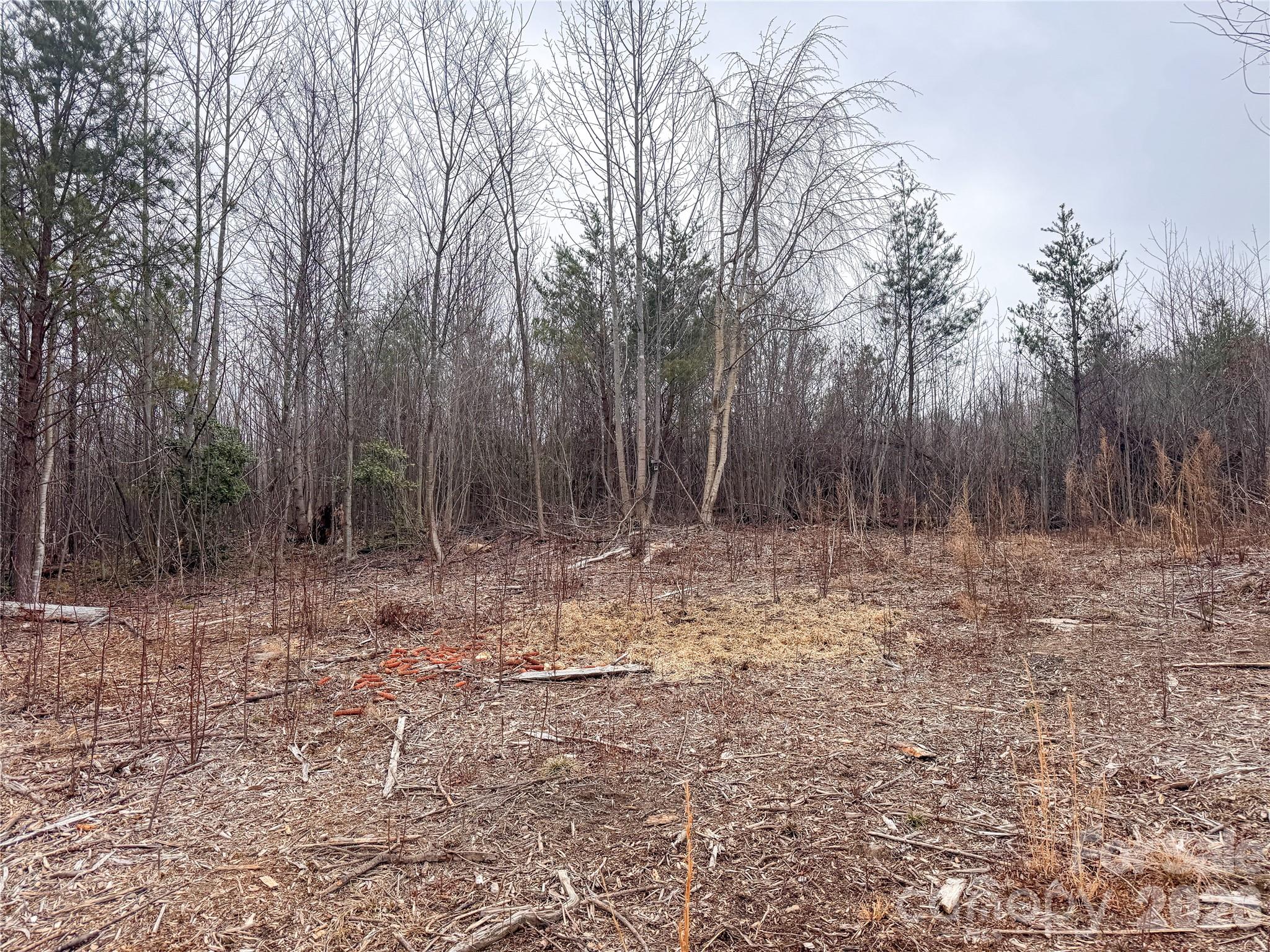 00 Baugess Mill Road Property Photo 18