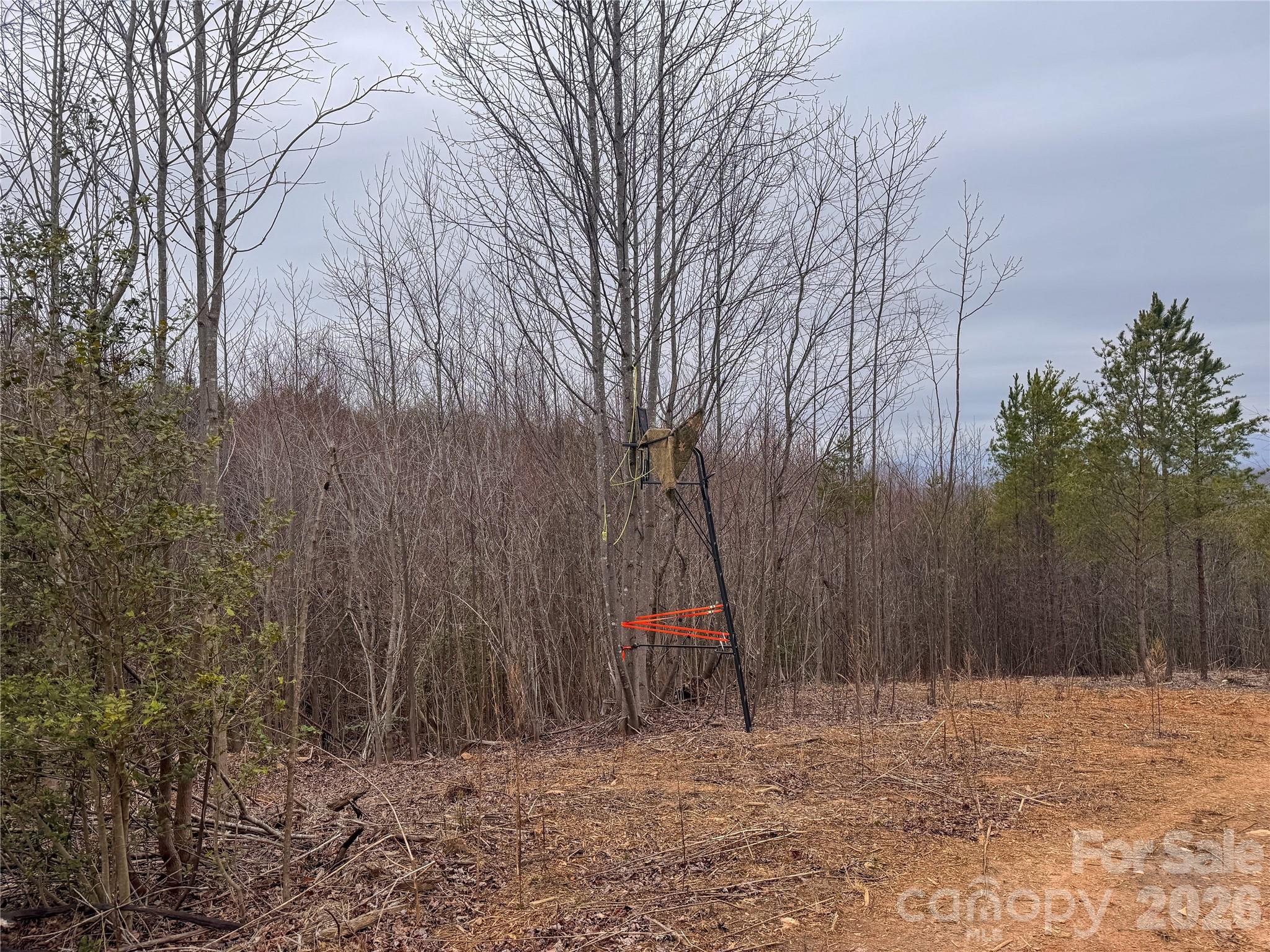 00 Baugess Mill Road Property Photo 19