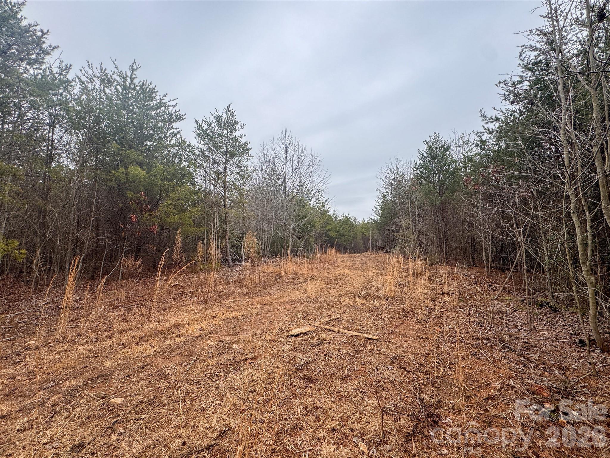 00 Baugess Mill Road Property Photo 20
