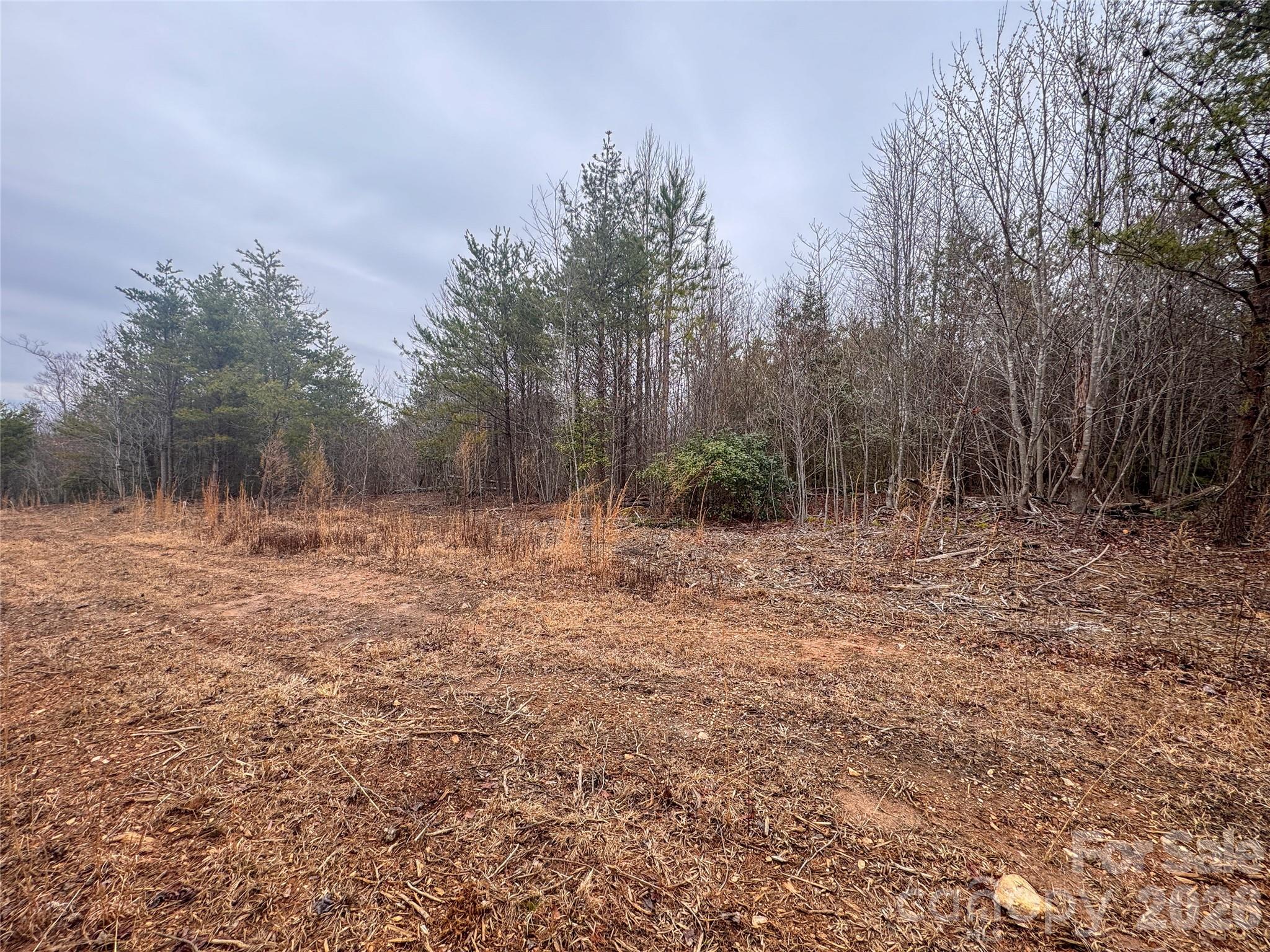 00 Baugess Mill Road Property Photo 21