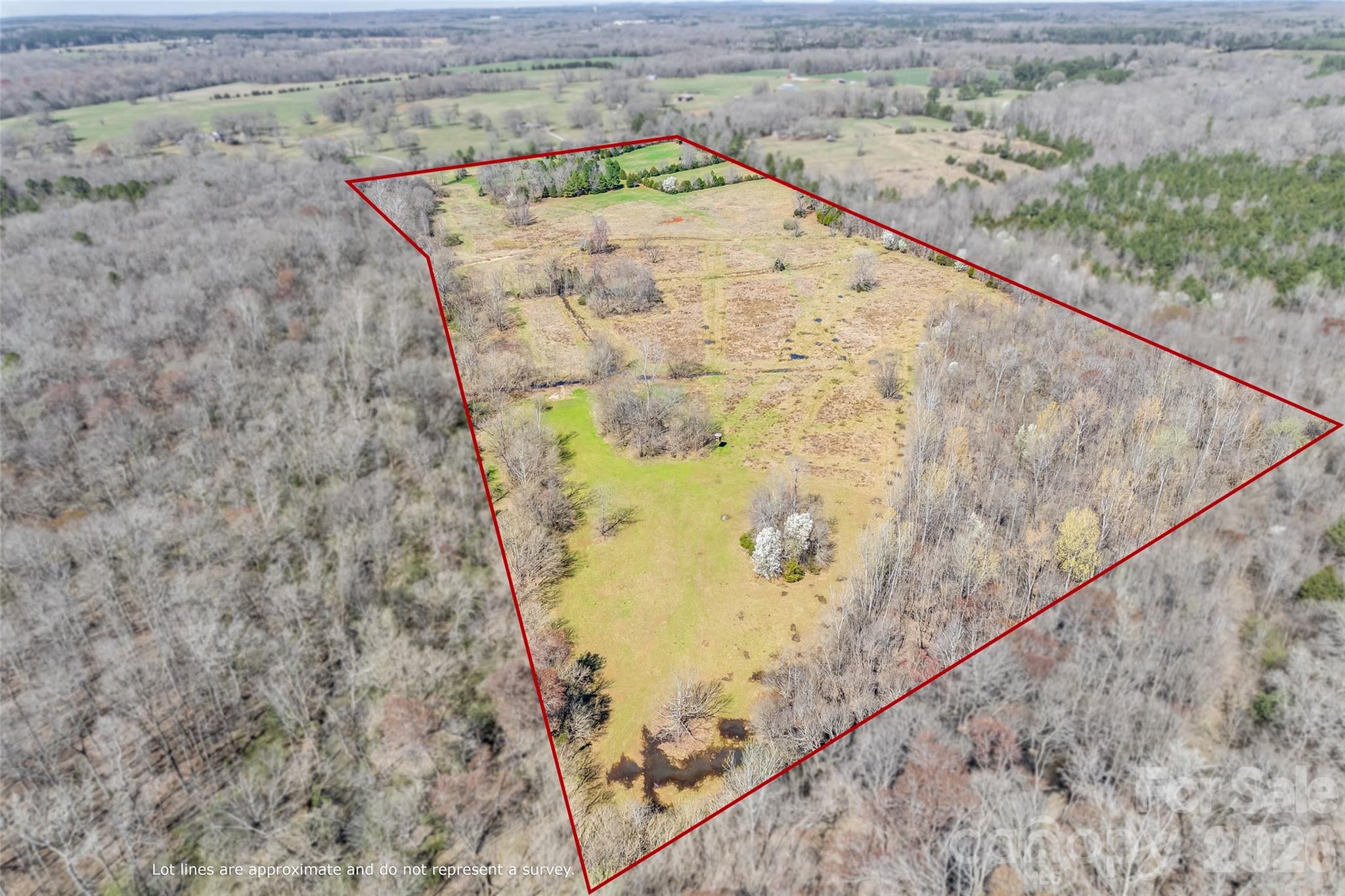 2548 Gordon Road Property Photo 1
