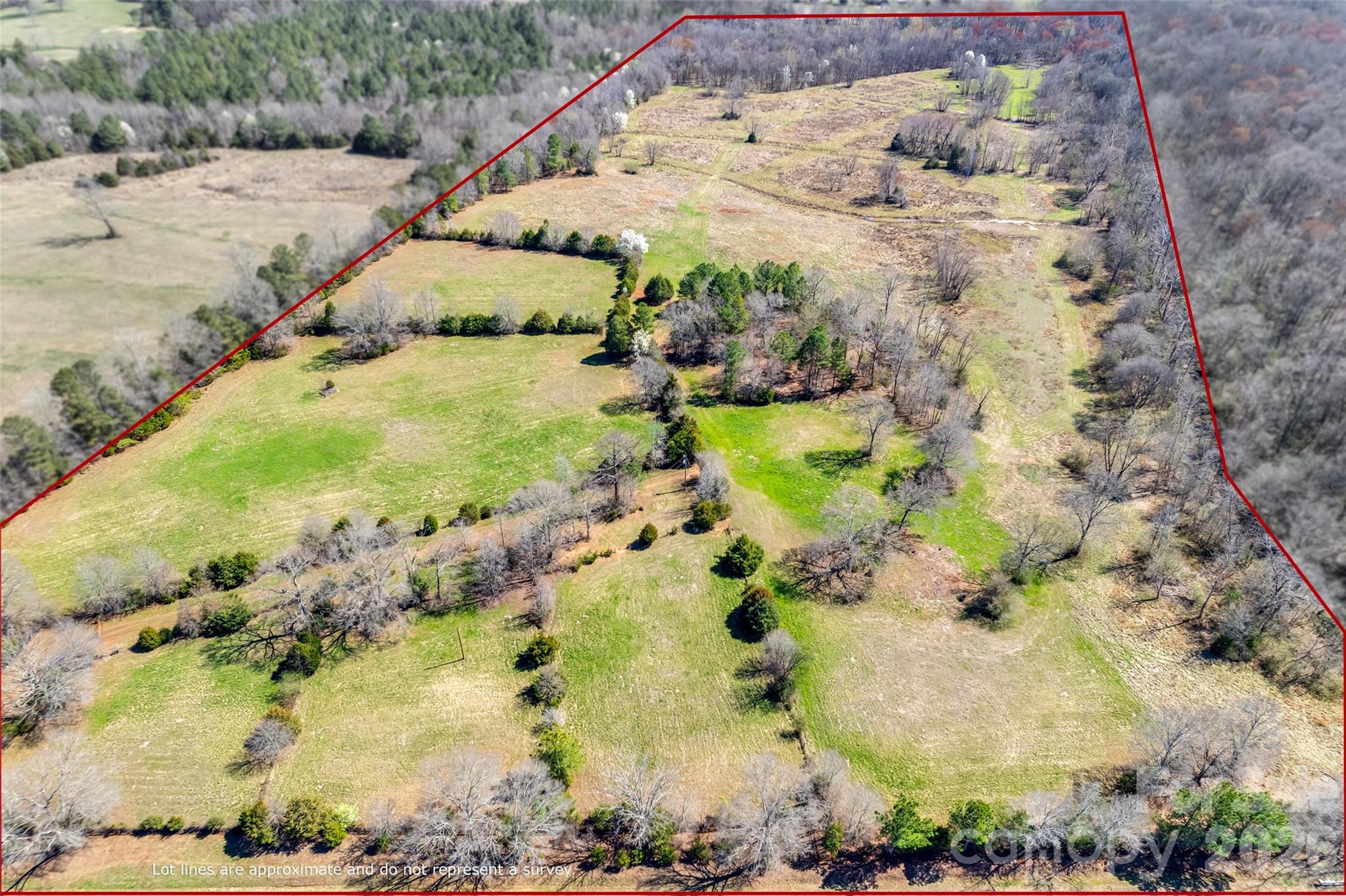 2548 Gordon Road Property Photo 3
