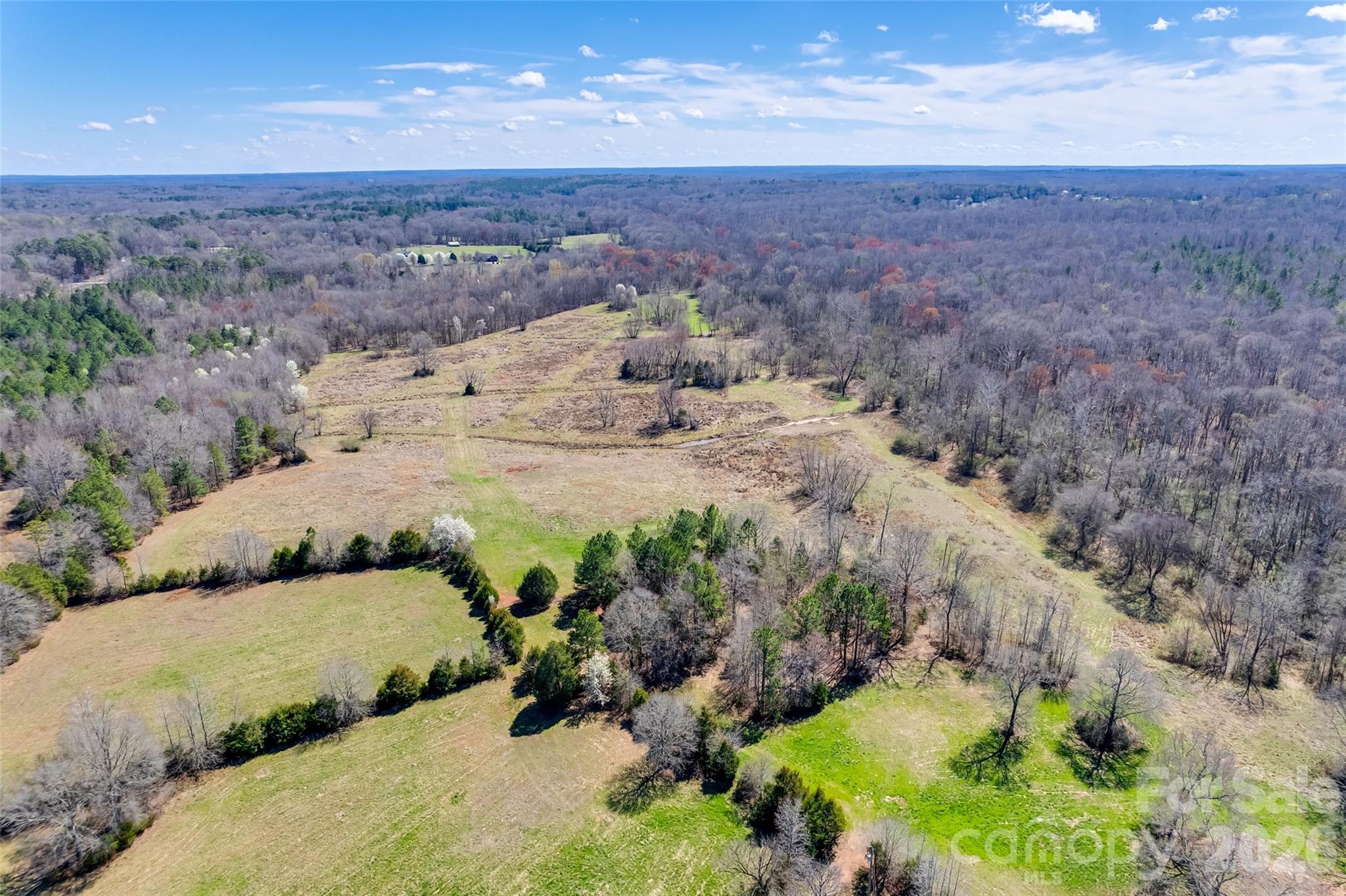 2548 Gordon Road Property Photo 4