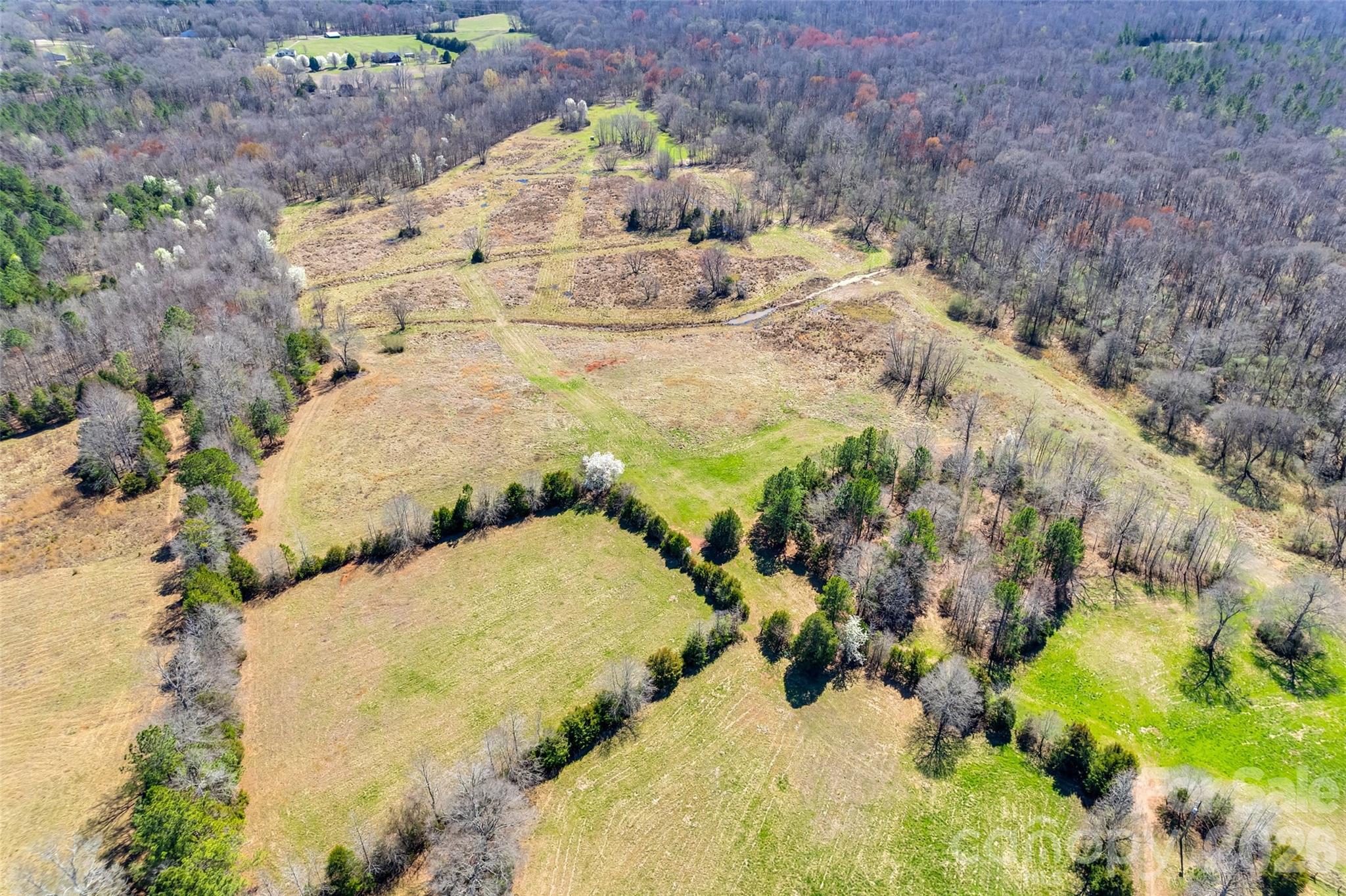 2548 Gordon Road Property Photo 5