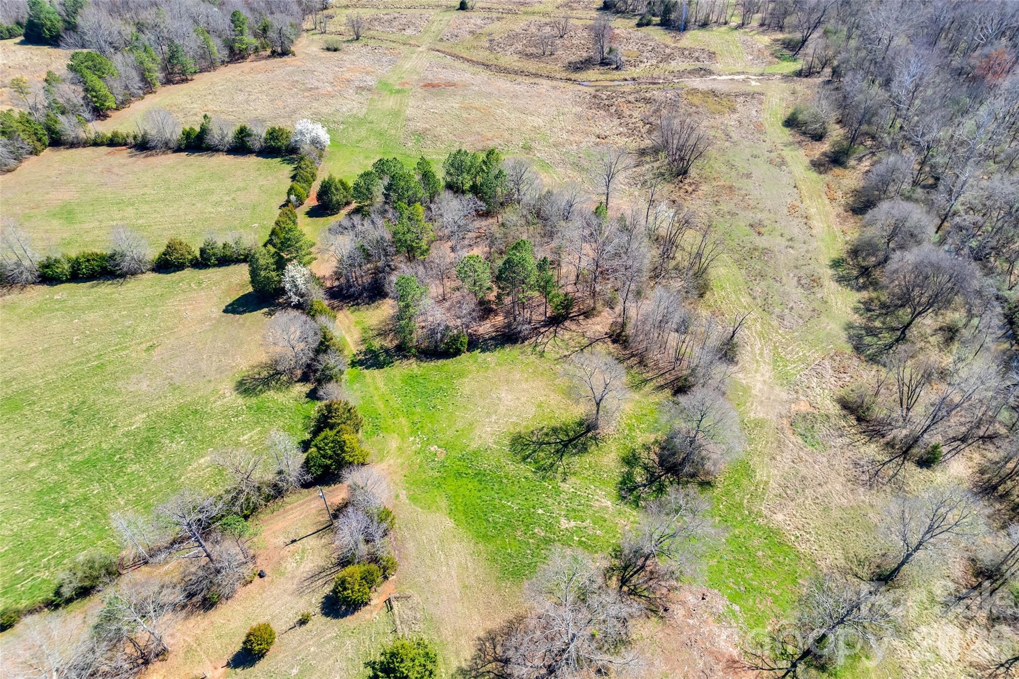 2548 Gordon Road Property Photo 11