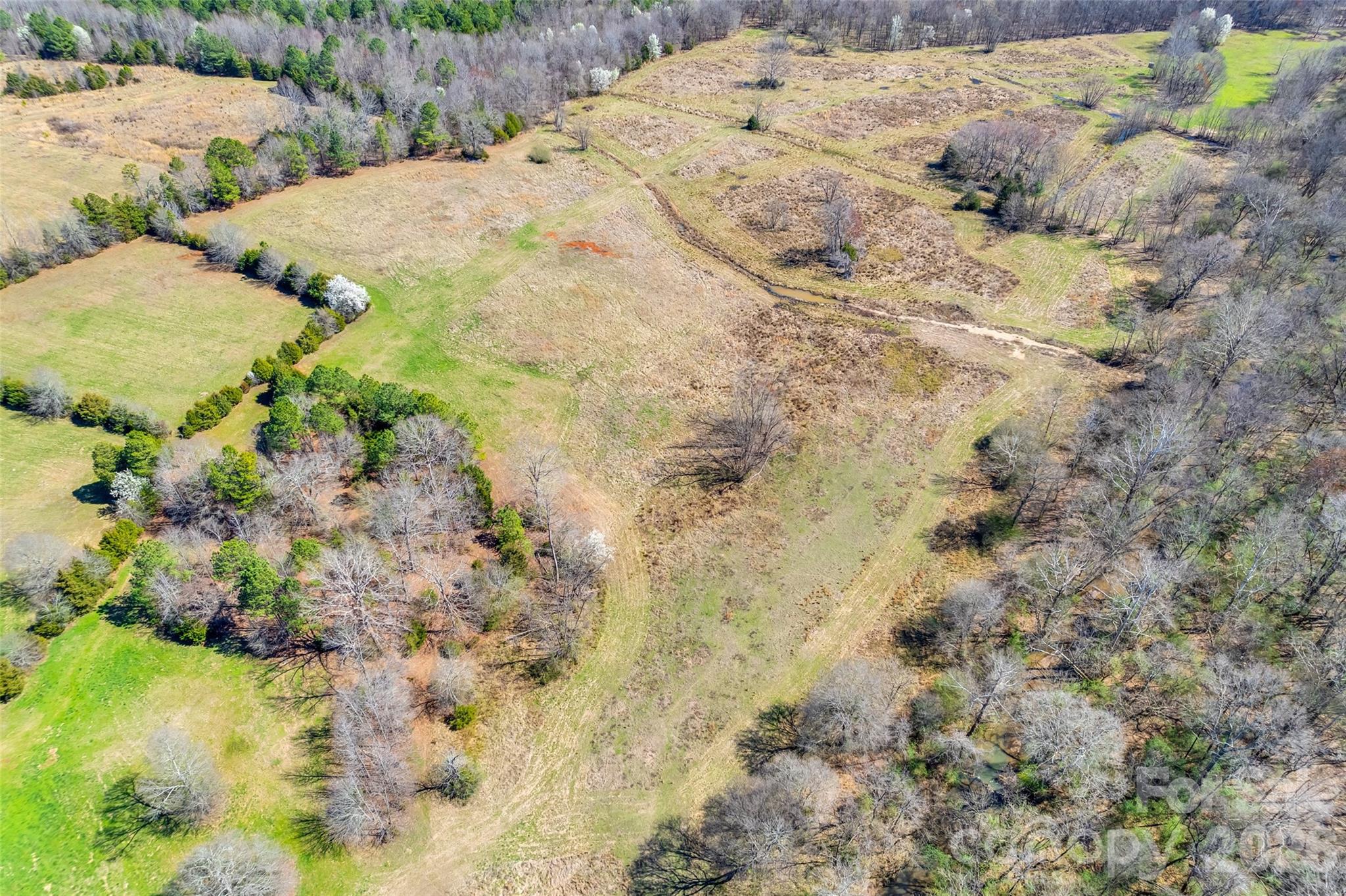 2548 Gordon Road Property Photo 12