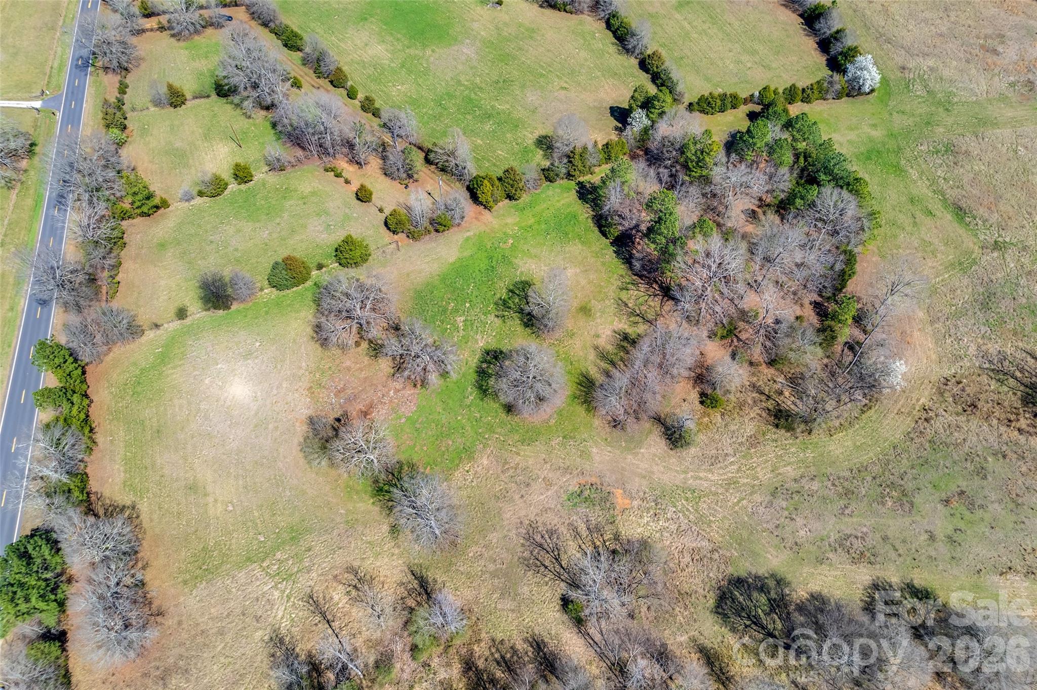 2548 Gordon Road Property Photo 13