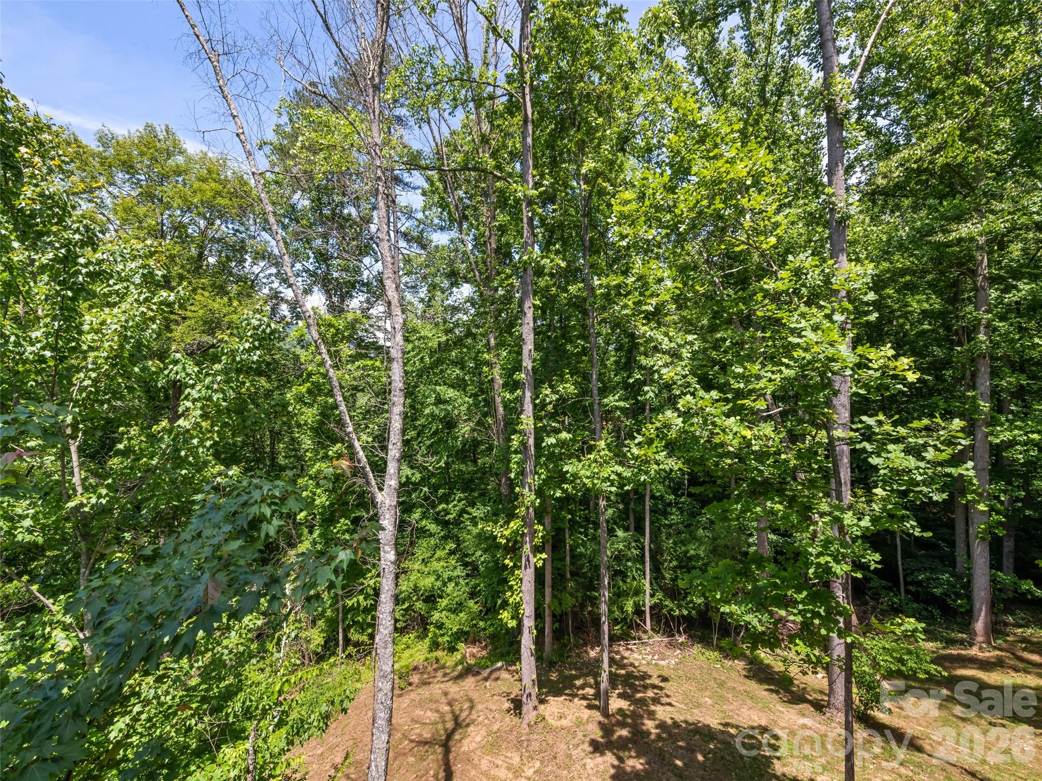 288 Ironwood Drive Property Photo 10
