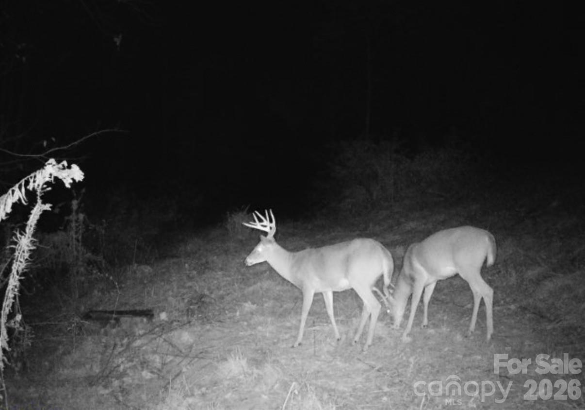 842 Old Nc 20 Highway Property Photo 40