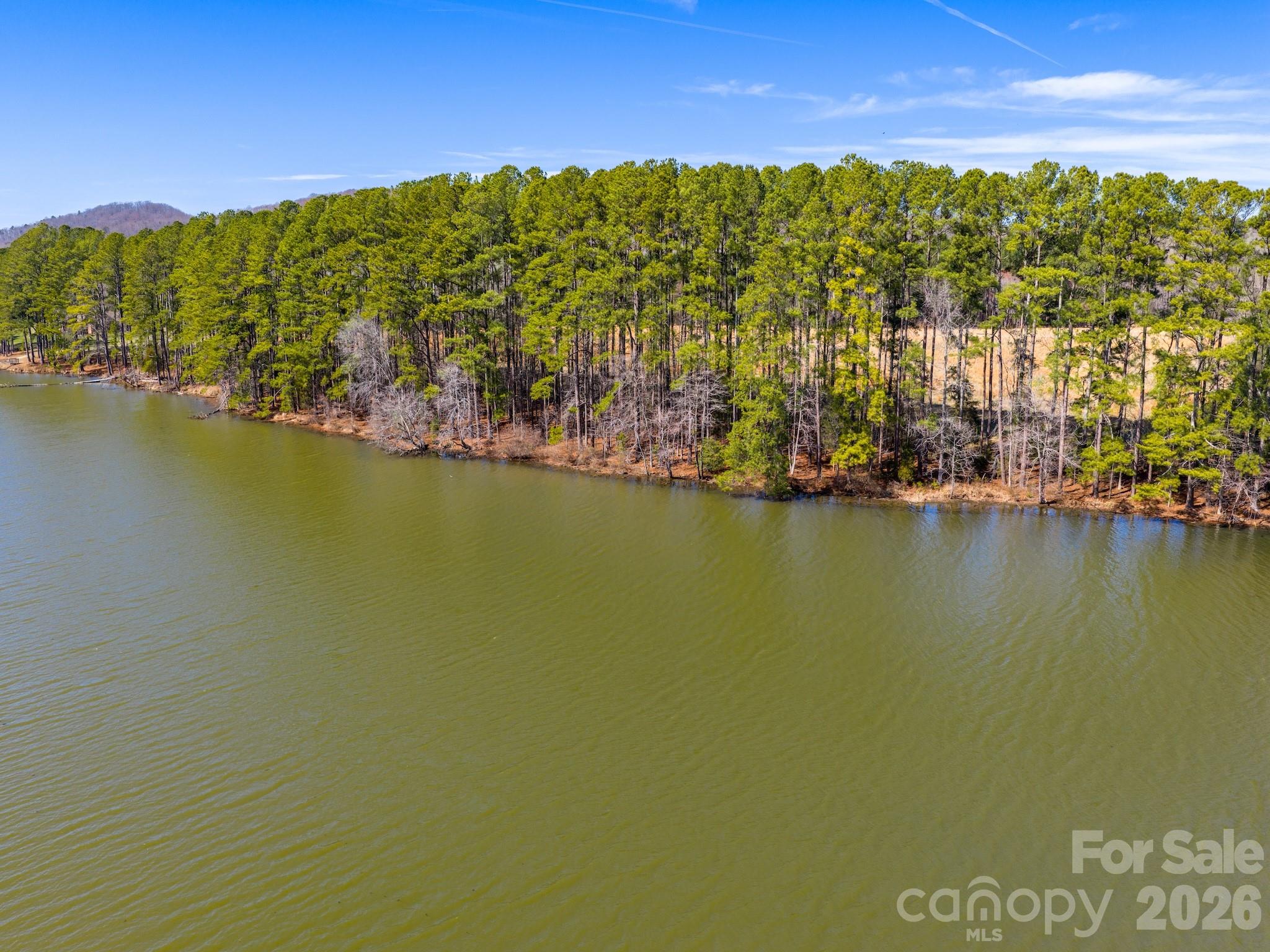1347 Newsome Road Property Photo 8