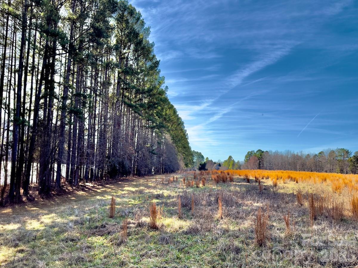 1347 Newsome Road Property Photo 45
