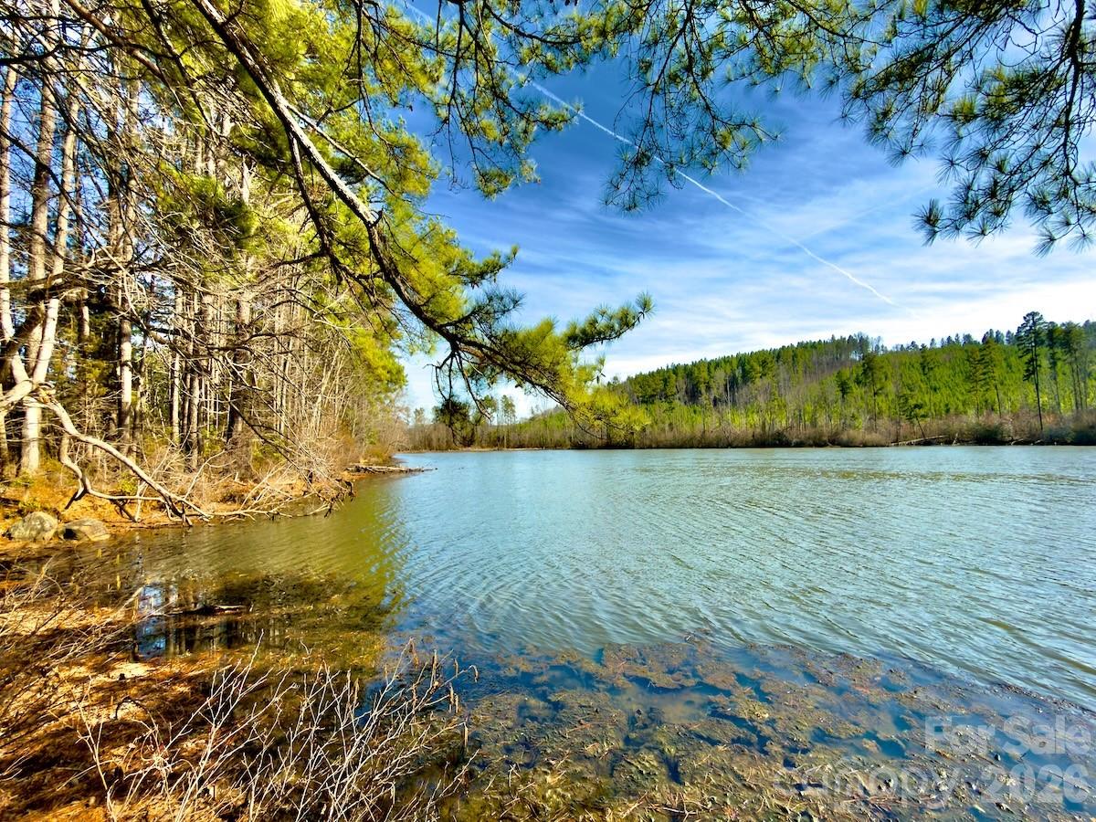 1347 Newsome Road Property Photo 47