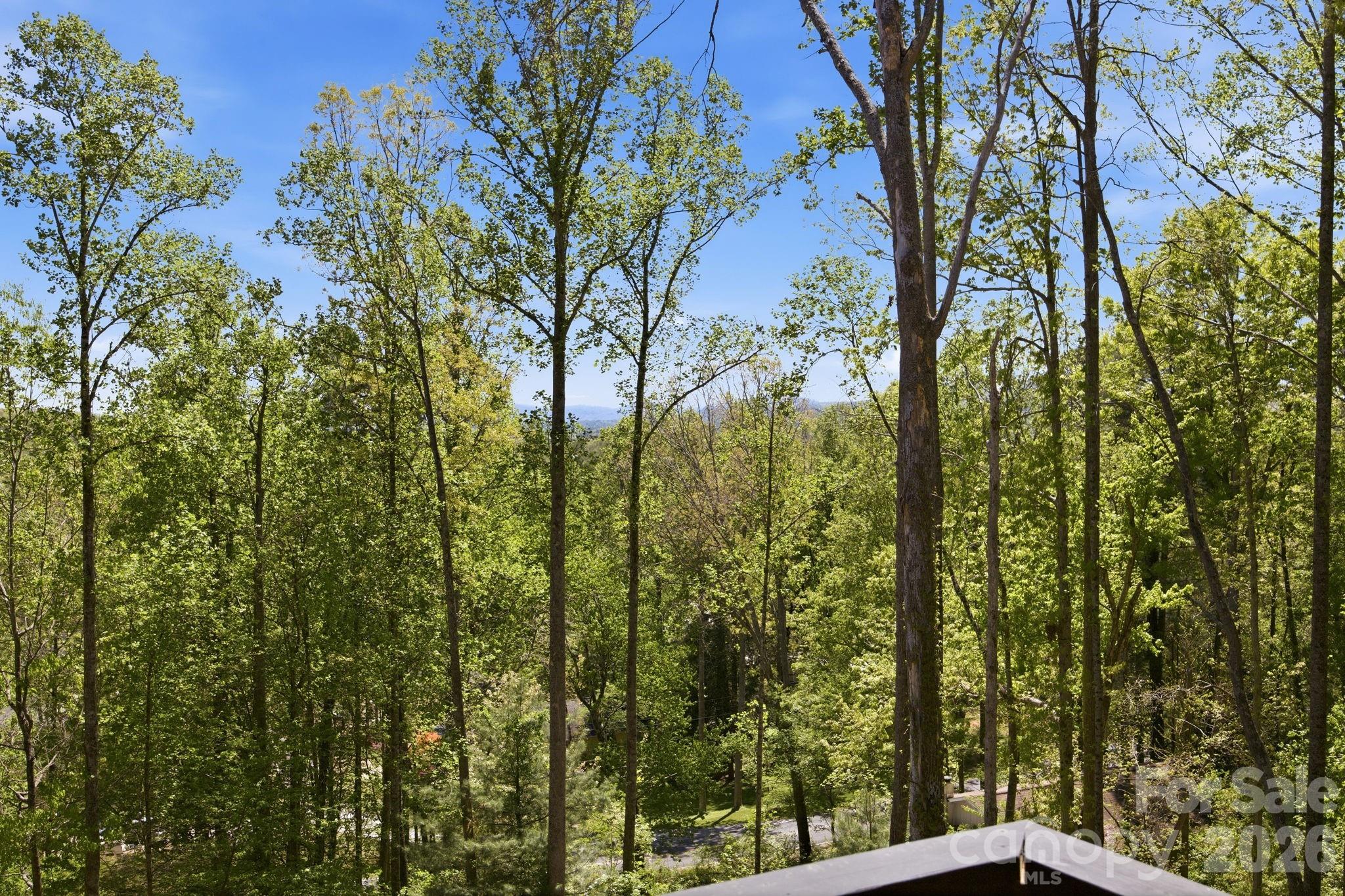 102 Sandpiper Palisades Street Property Photo 46