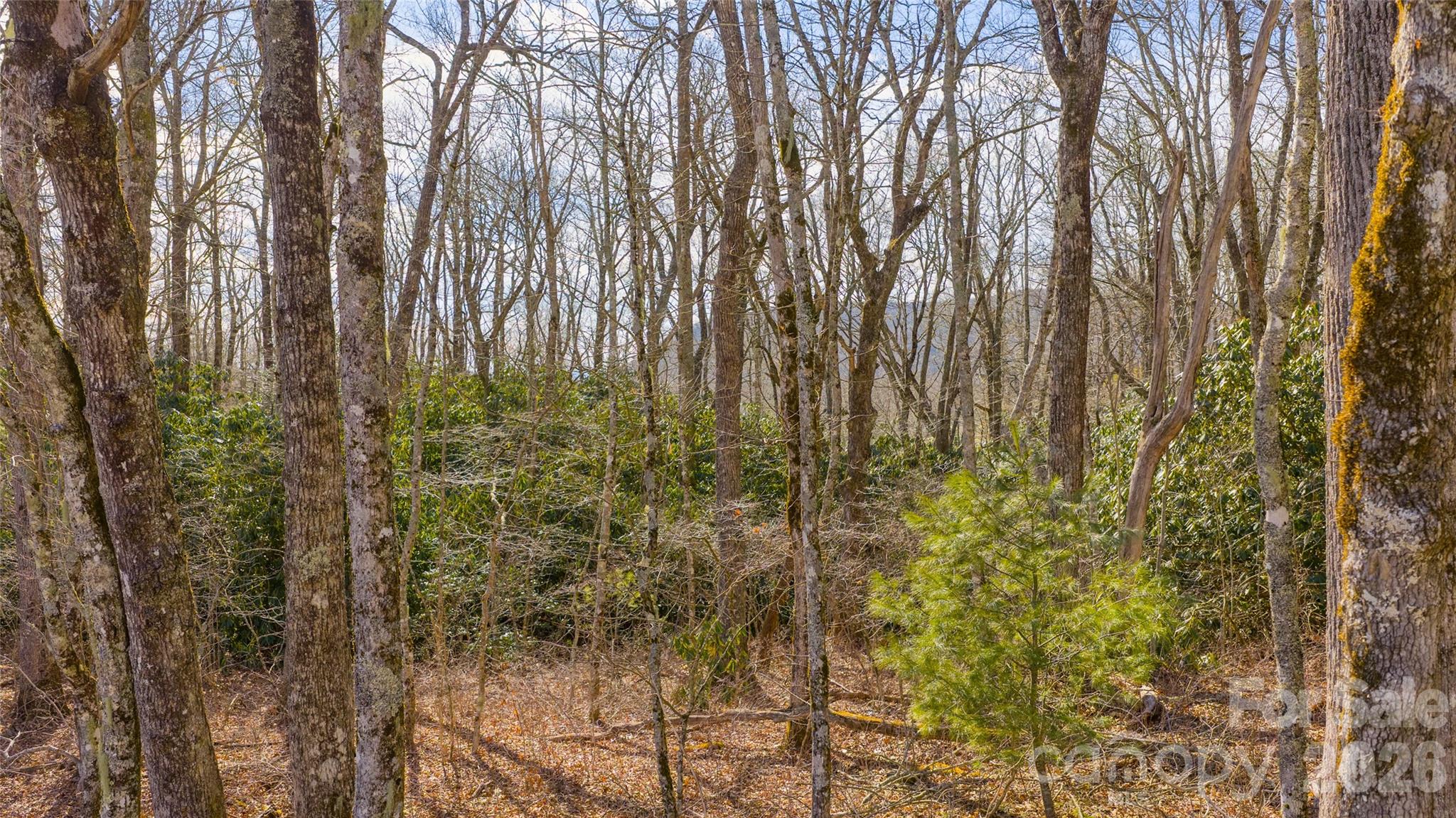 Tbd Garden Trail Property Photo 5