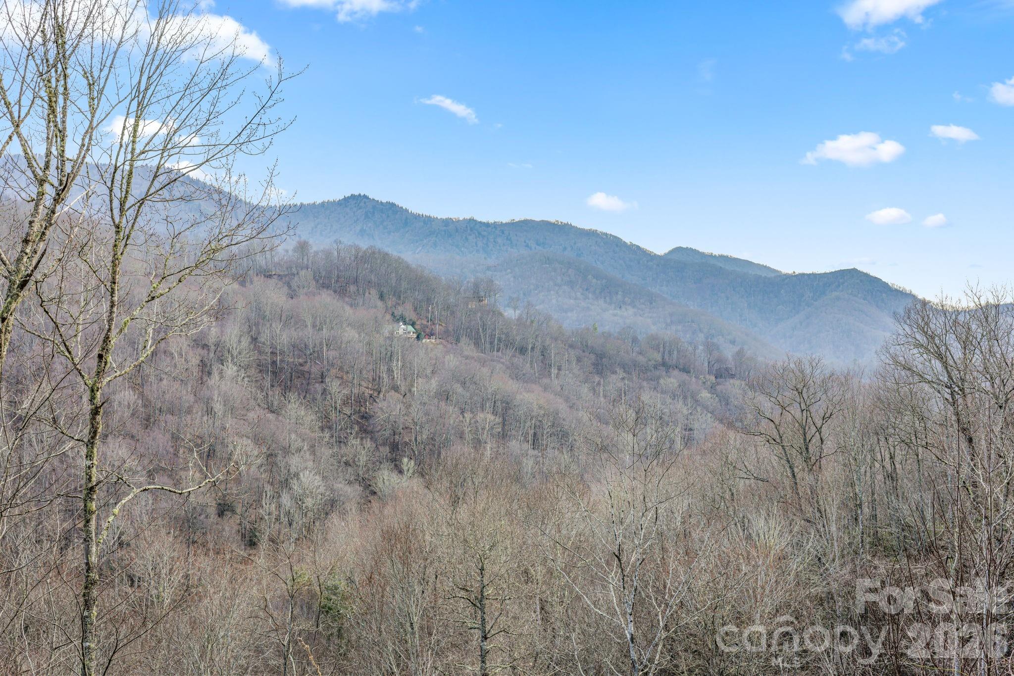 328 Mountain Lion Trail Property Photo 3