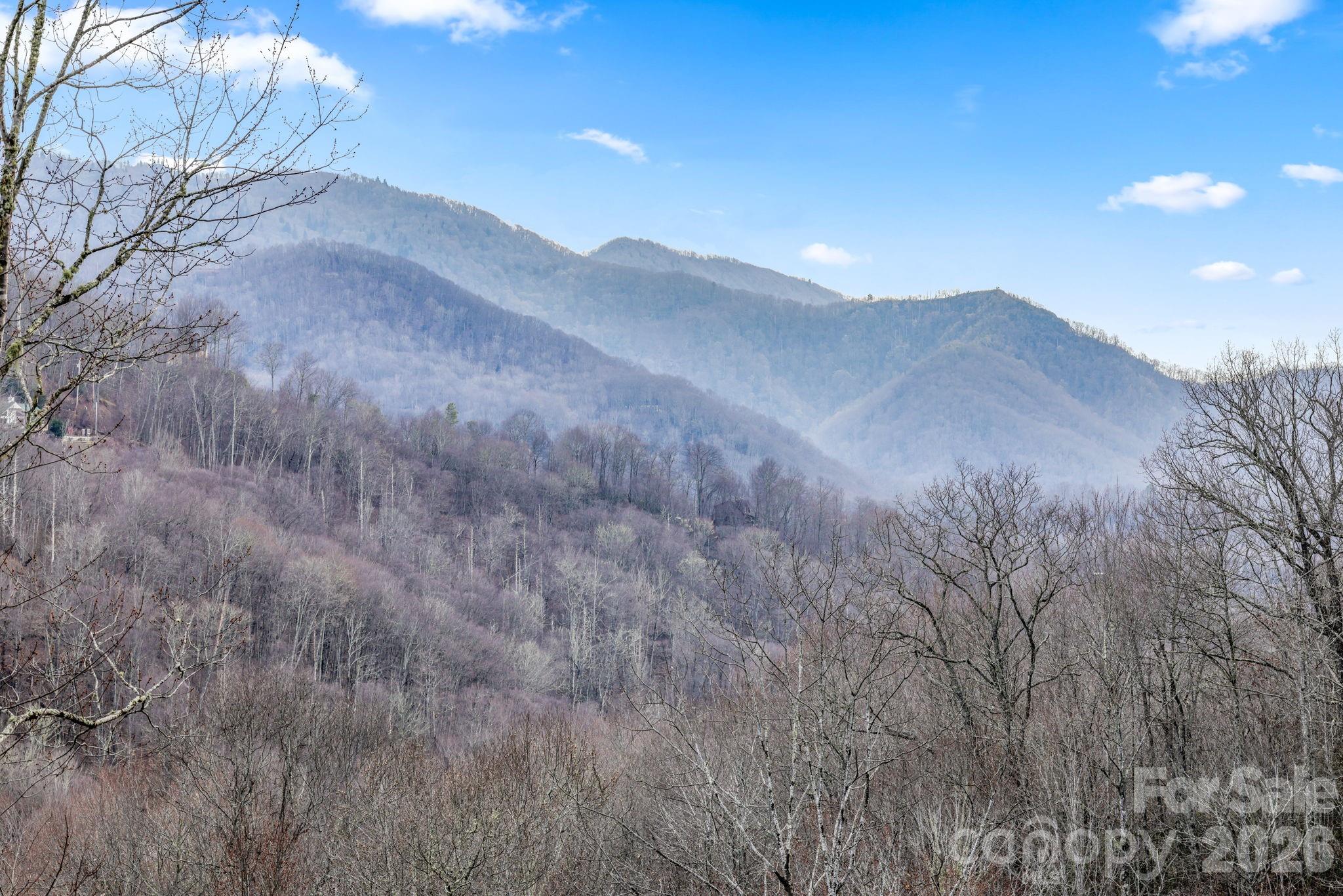 328 Mountain Lion Trail Property Photo 4