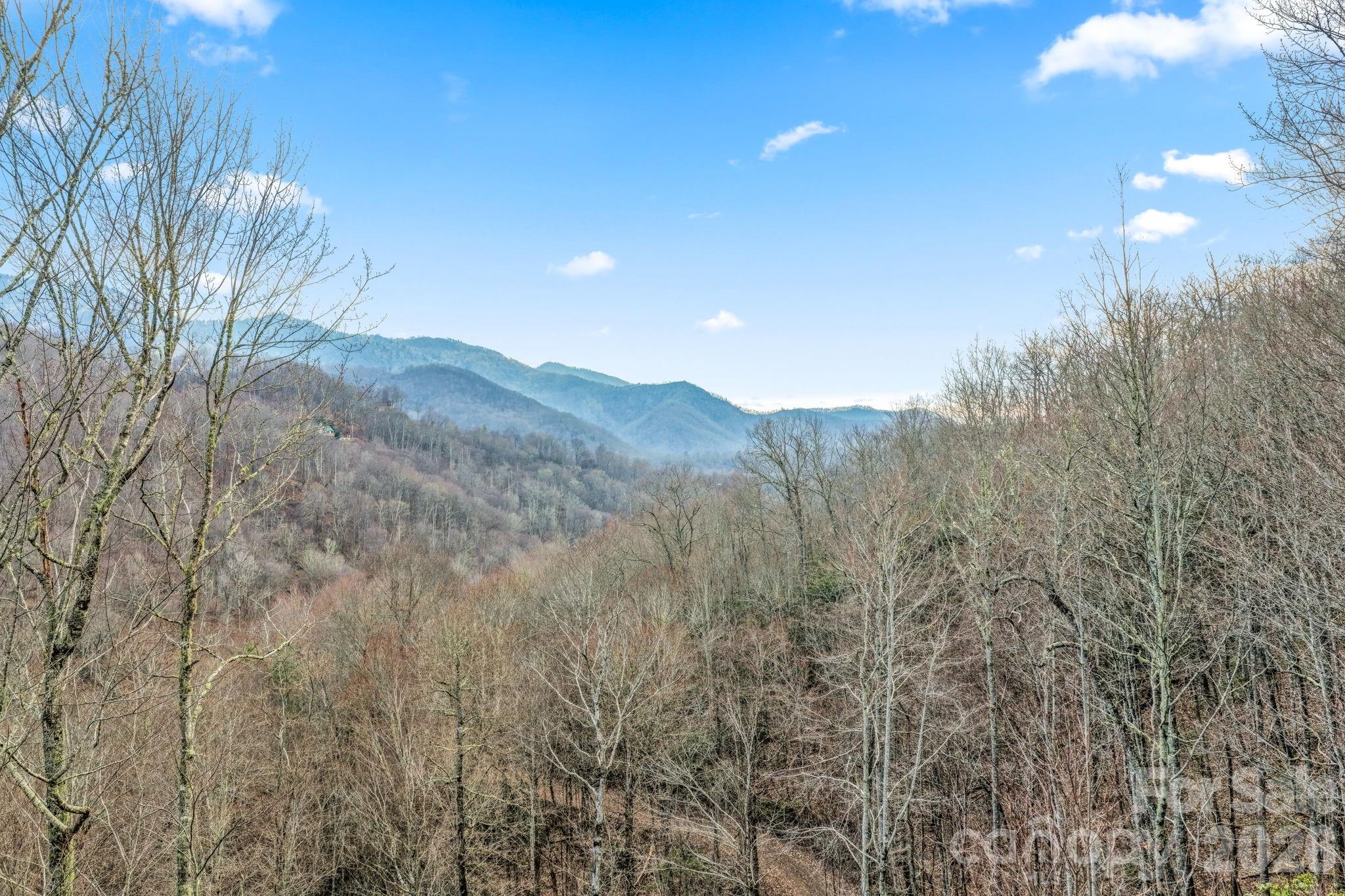 328 Mountain Lion Trail Property Photo 5