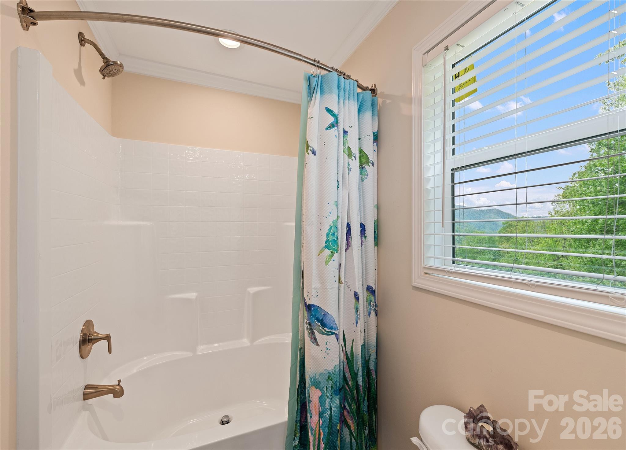 328 Mountain Lion Trail Property Photo 24
