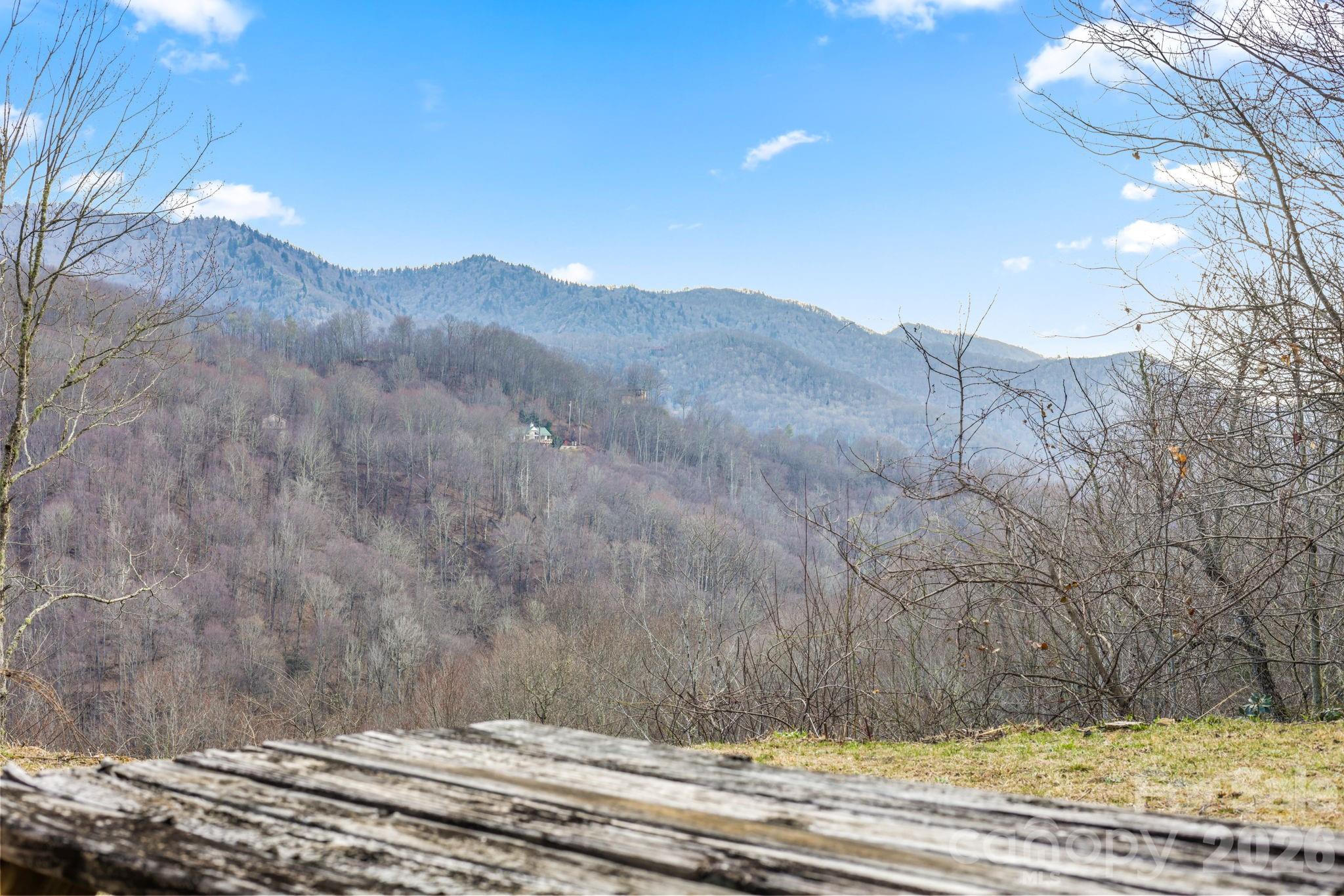 328 Mountain Lion Trail Property Photo 25