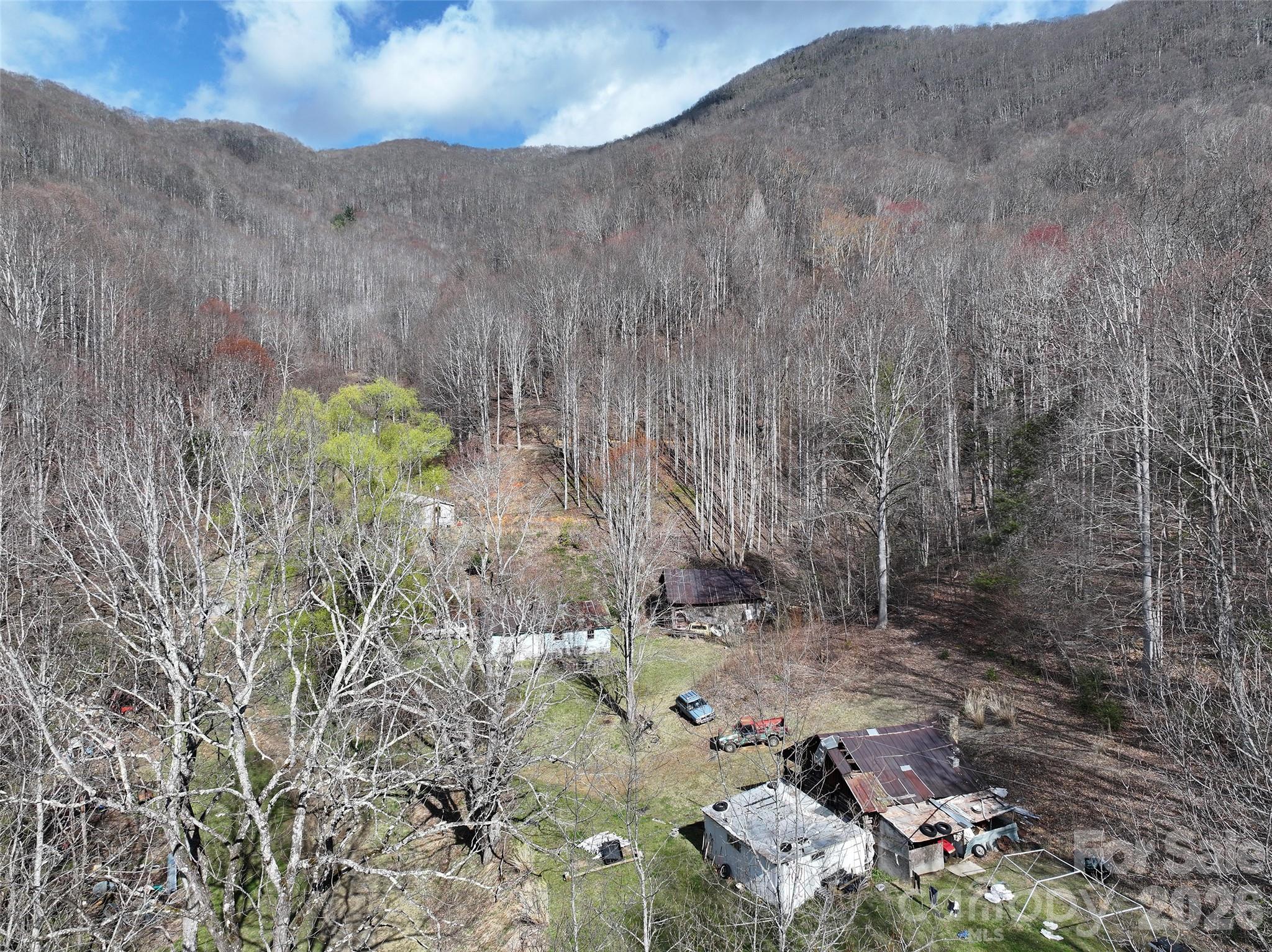 1002 Ned Cove Road Property Photo 3