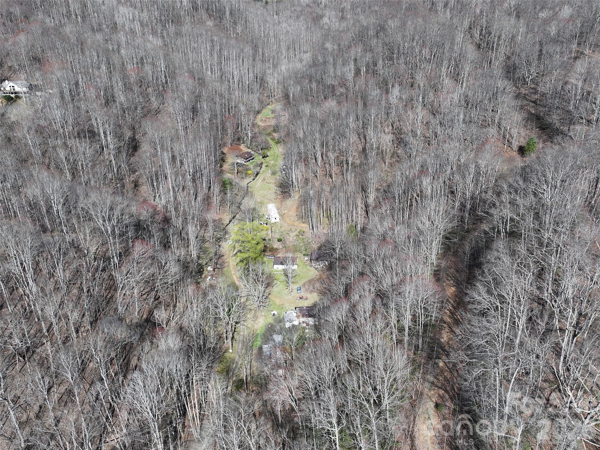 1002 Ned Cove Road Property Photo 6